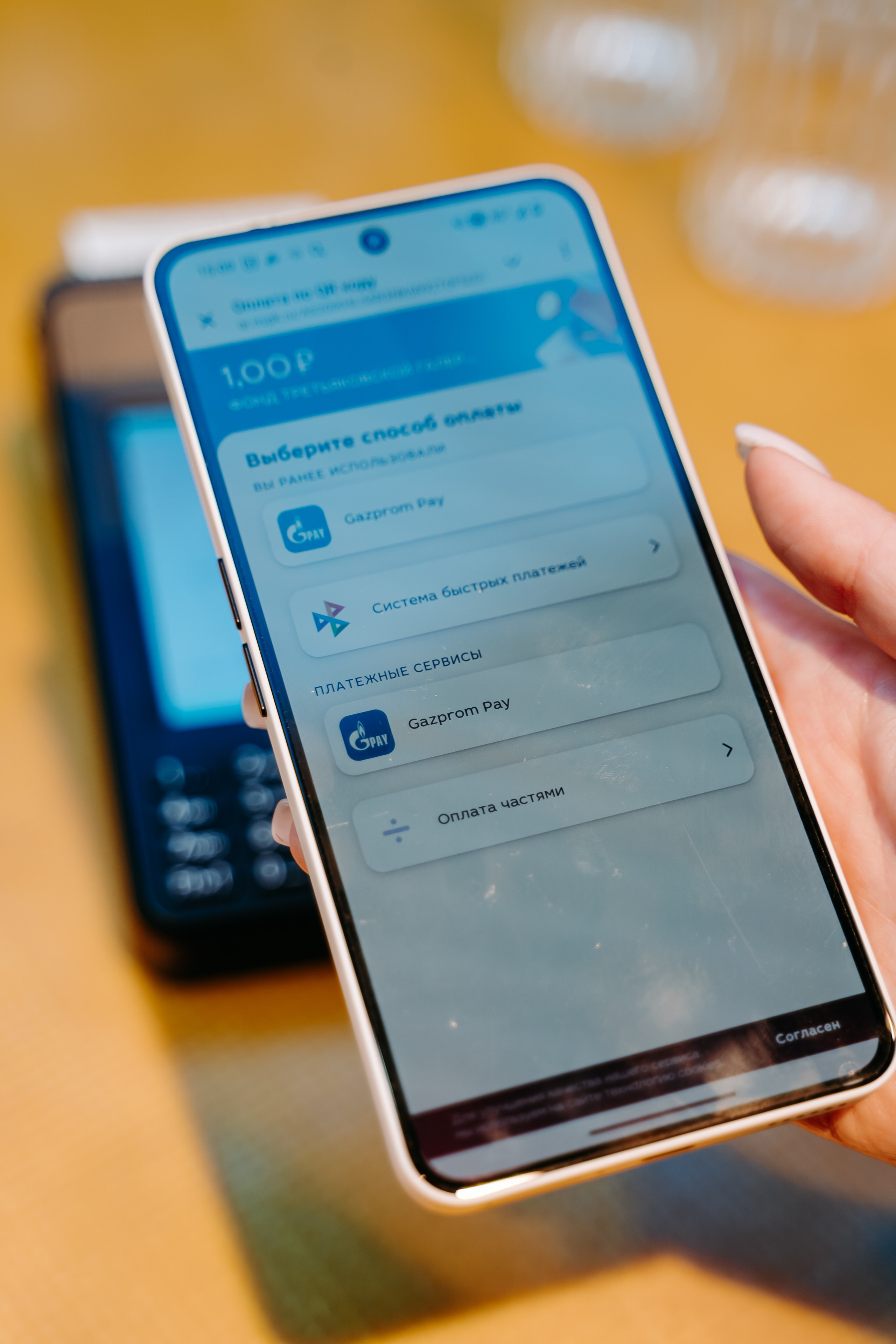 2025.04.02_АF_Антифродум. Репортажный и свадебный фотограф в Москве Рая Небогатова