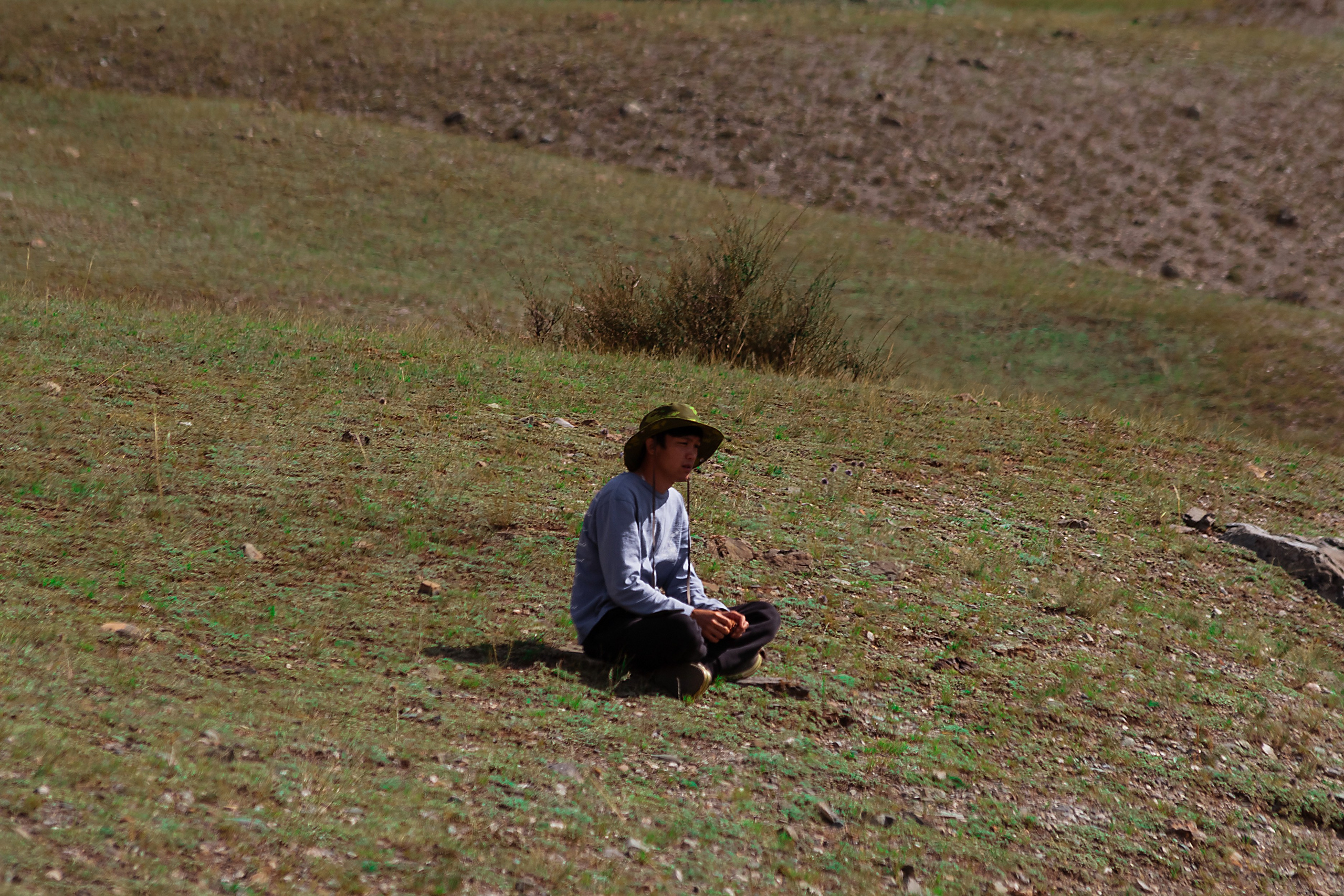 АЛТАЙ 2024 / ALTAI 2024. Главная