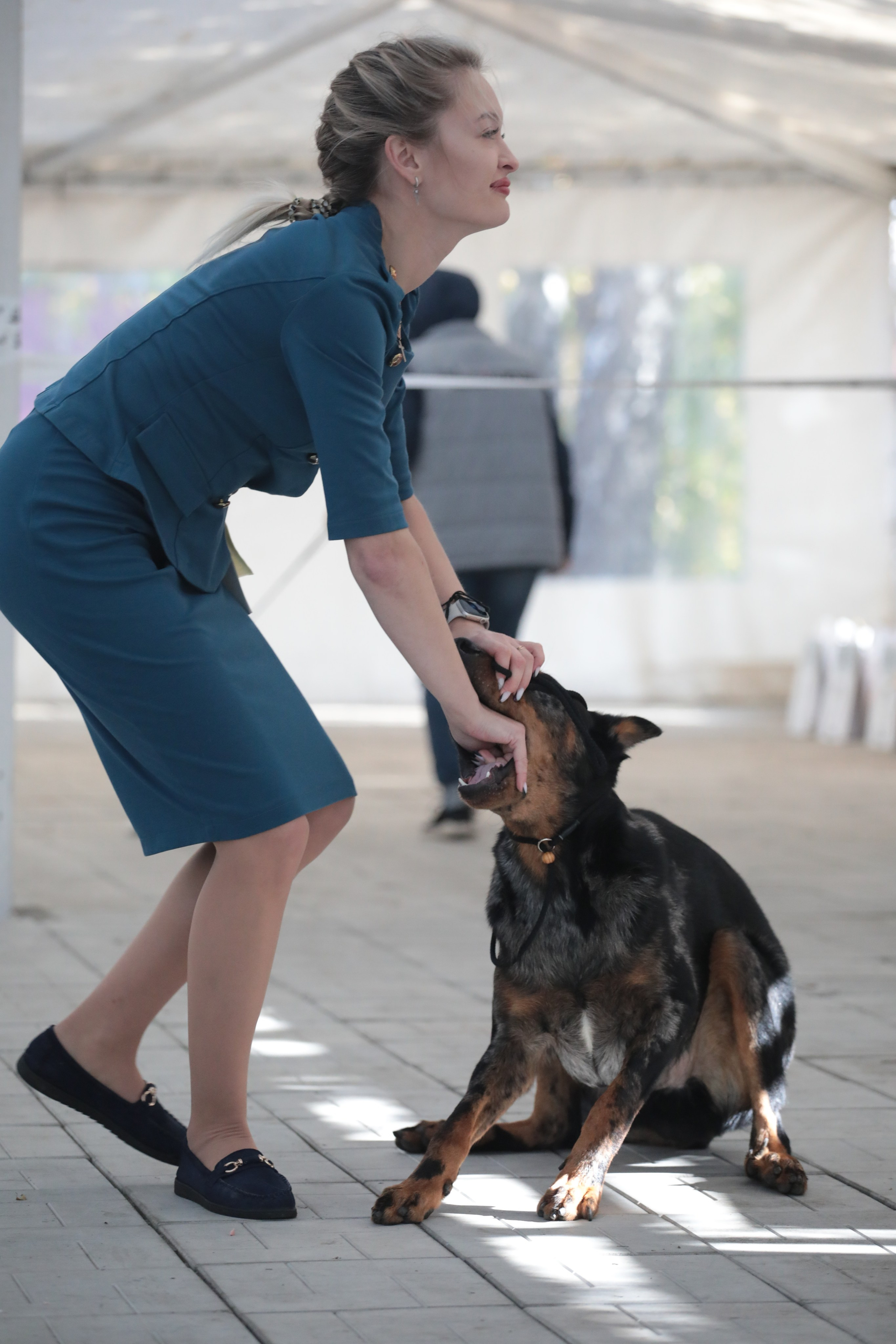 Выставка собак РКФ. Фотограф Екатерина Козловская