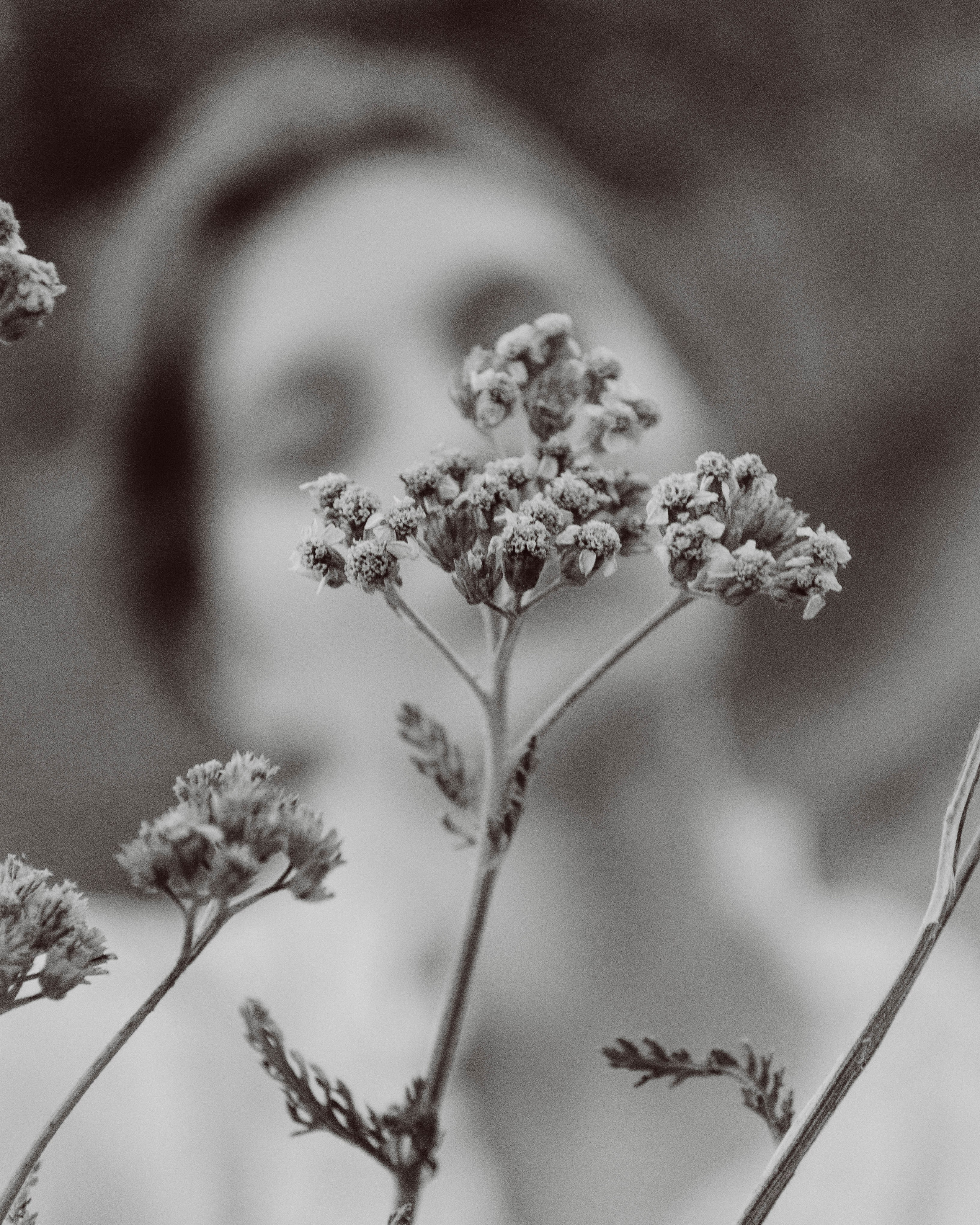 Анастасия. Фотограф Валерия Пэун