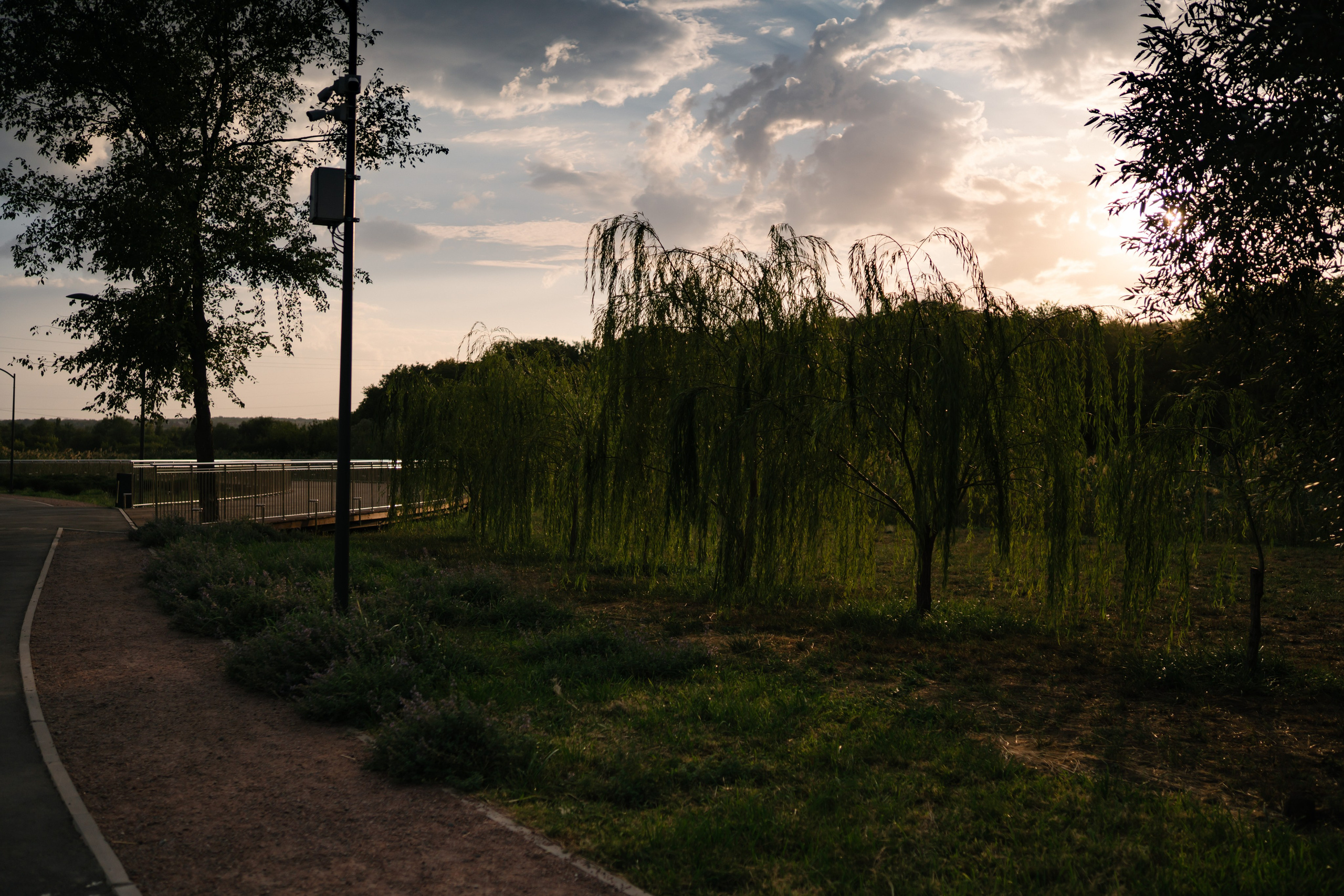 Локации для школьных съемок. Семейный фотограф и видеограф Ростов-на-Дону