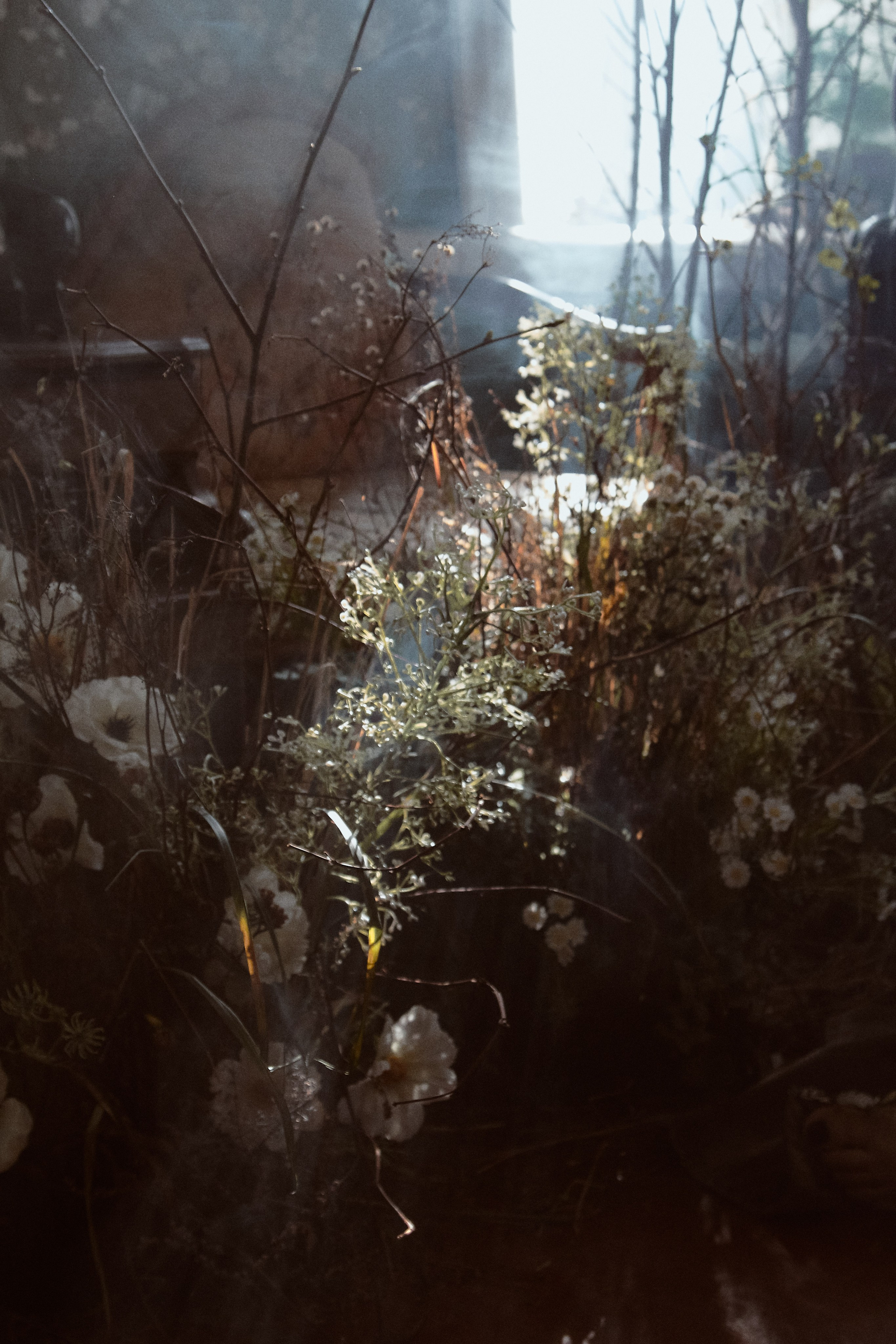 Мать и Дочь. Фотограф лавстори Москва/МО Приятелева Ангелина