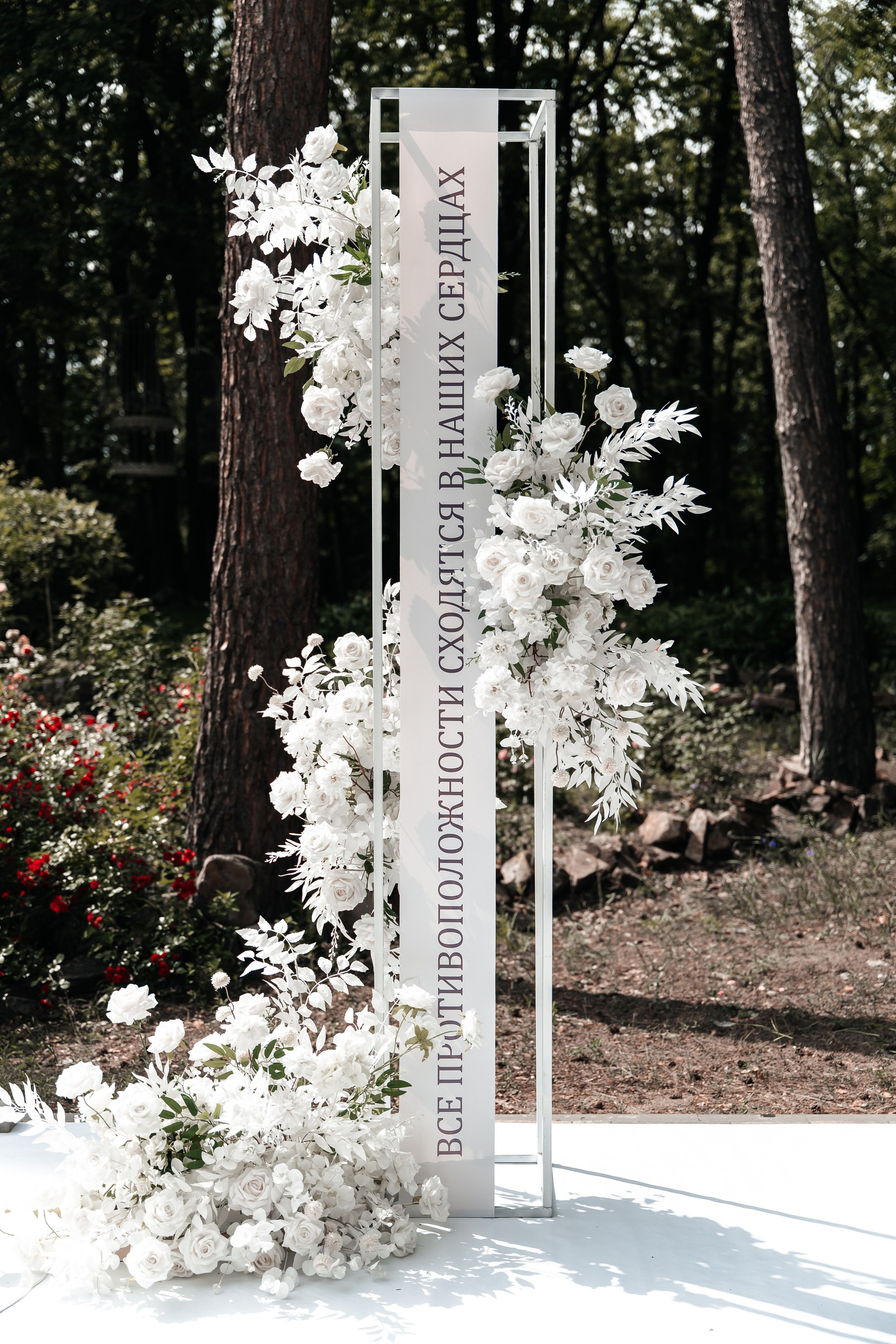 Андрей и Алина. Фотограф Екатерина Бочарникова