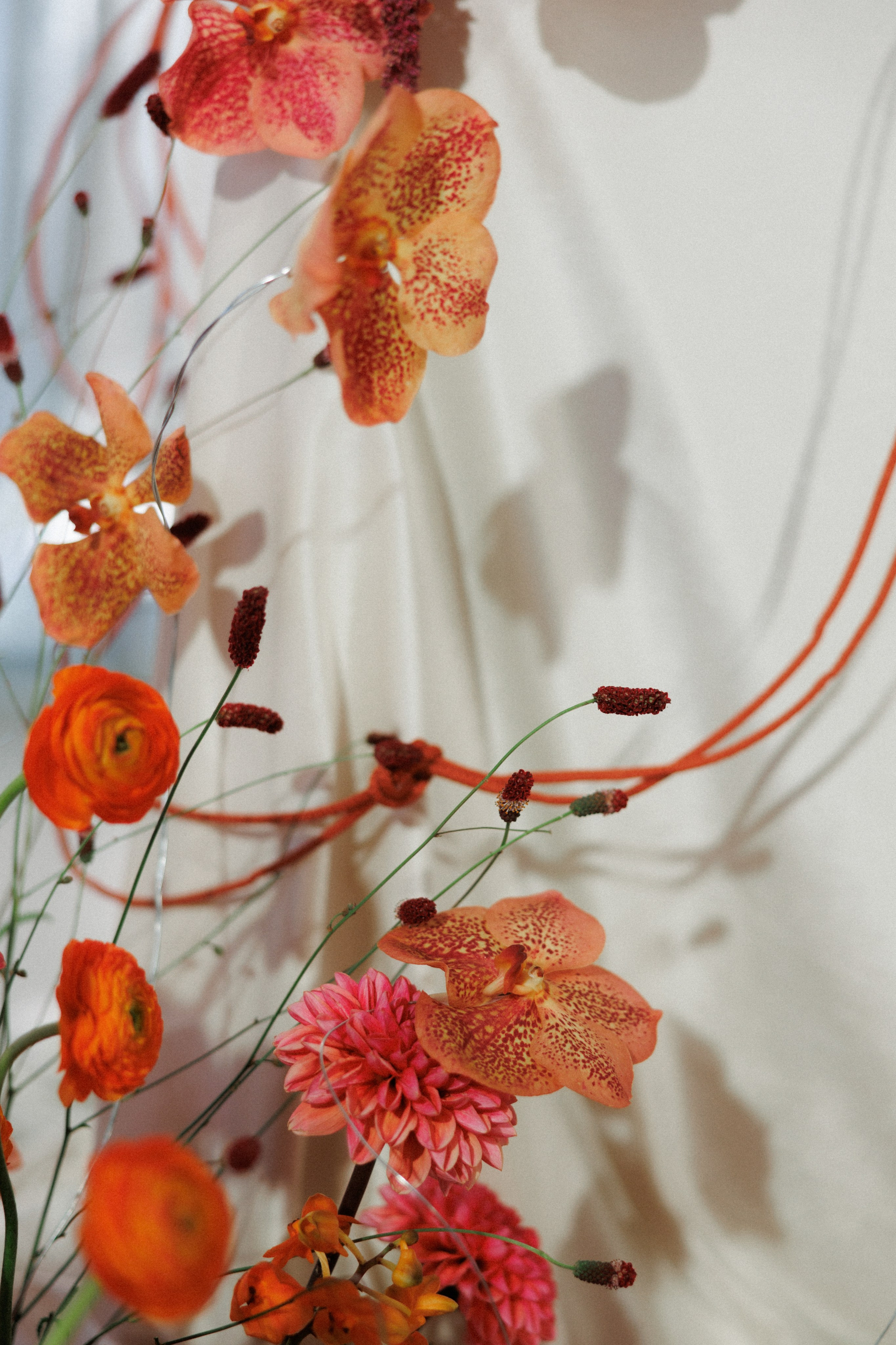 D+E. Свадебный и семейный фотограф Юлия Сафронова