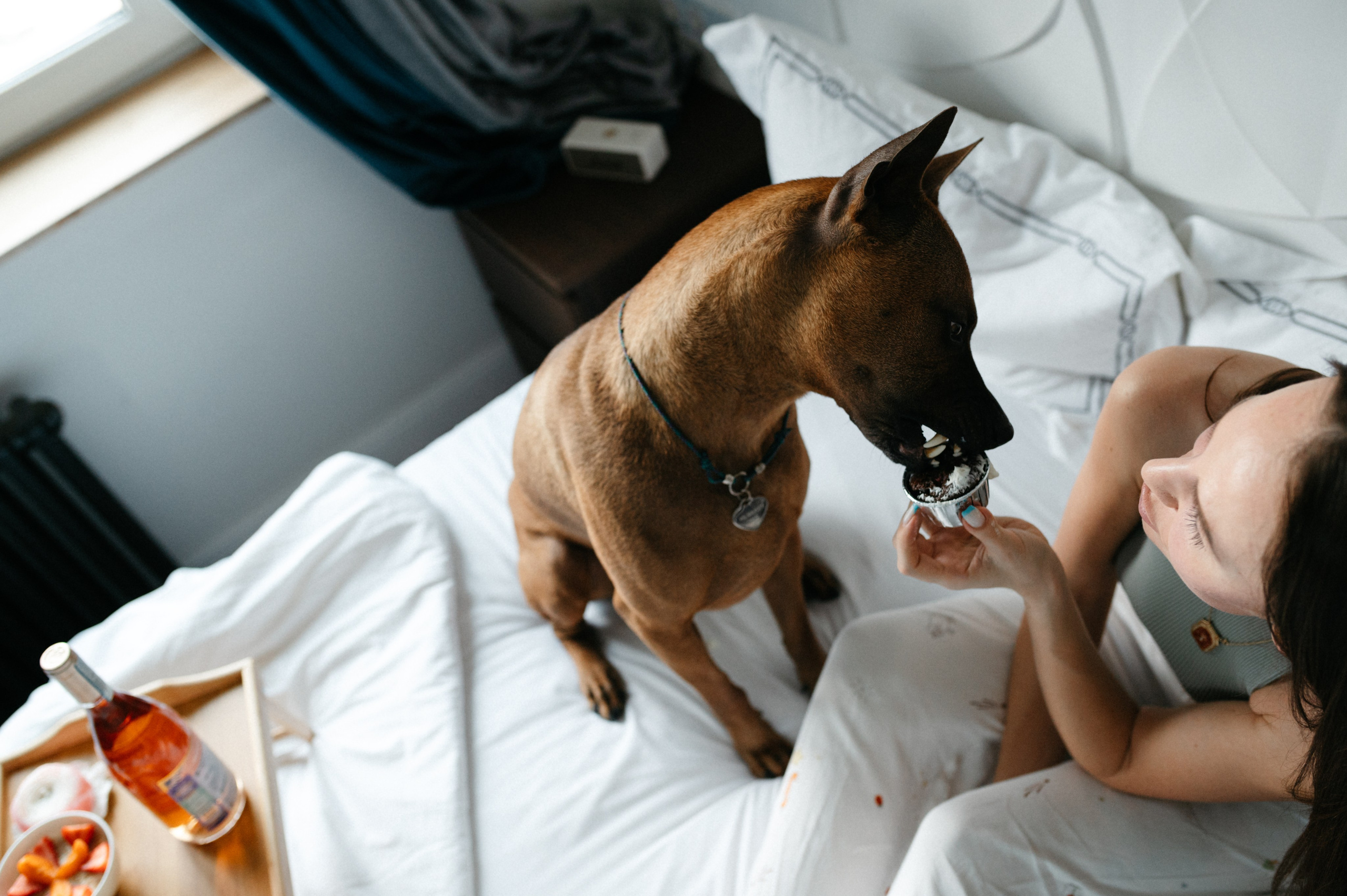 Оксана и Зевс. Фотограф анималист в Москве Ольга Агушева
