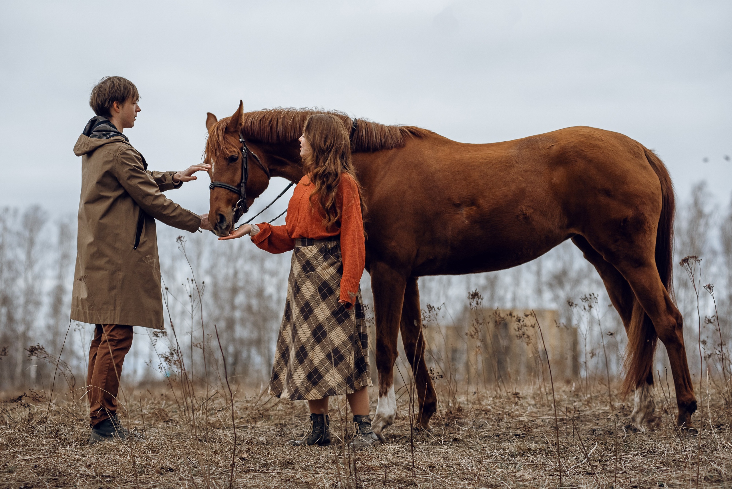 Весенний Ветер. Фотосессии с лошадьми. Женский фотограф Наталья Латыпова