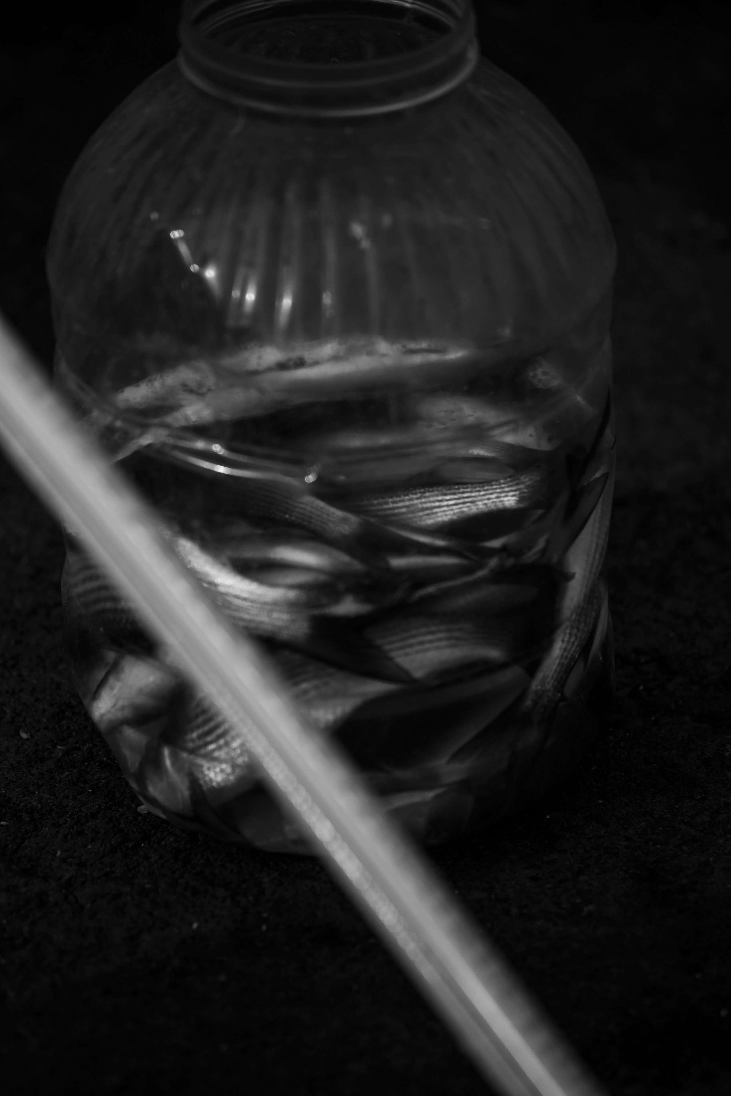 Стамбул. Фотограф Милена Яновска