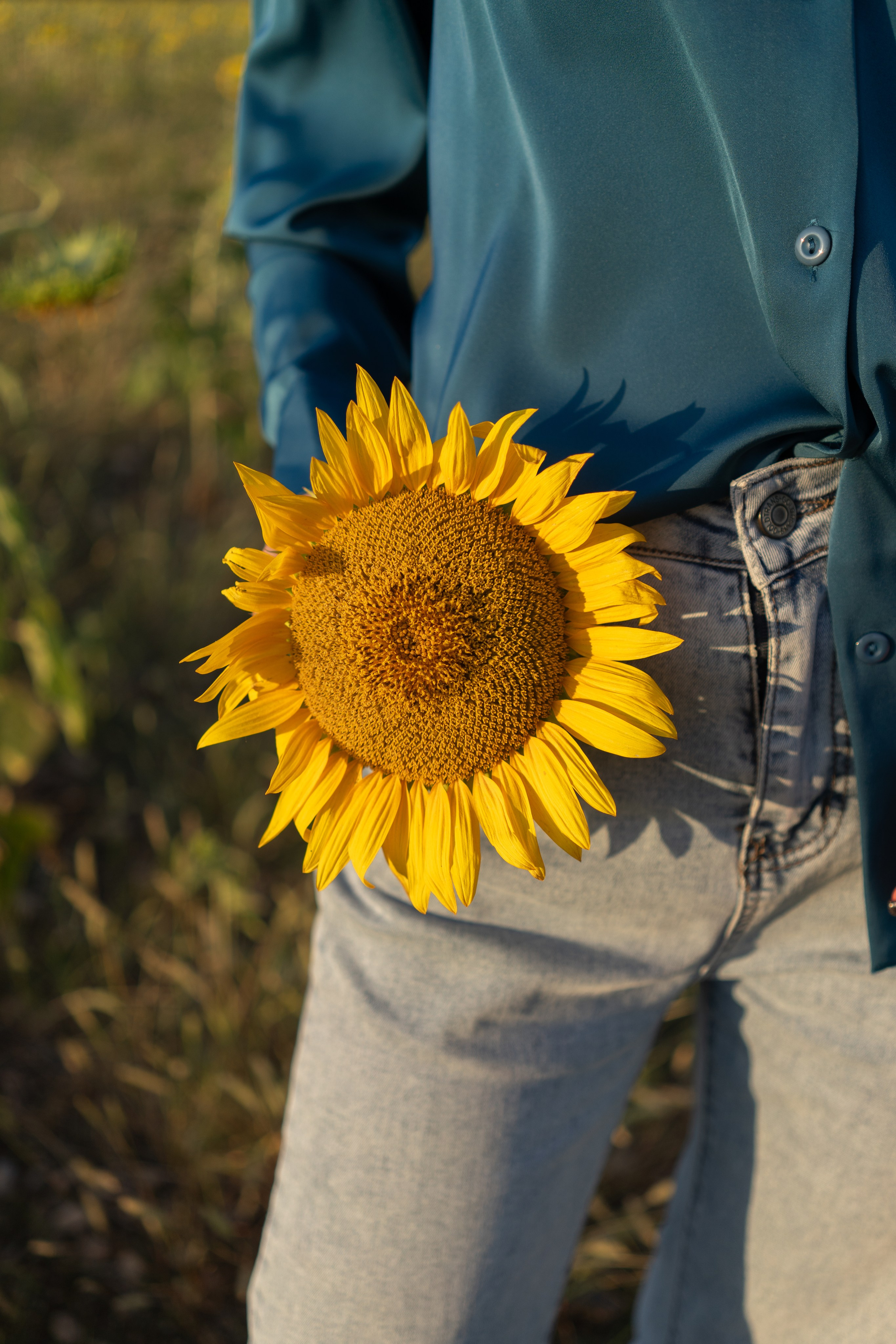 В подсолнухах. Фотограф | Крым | Бахчисарай | Симферополь | Севастополь