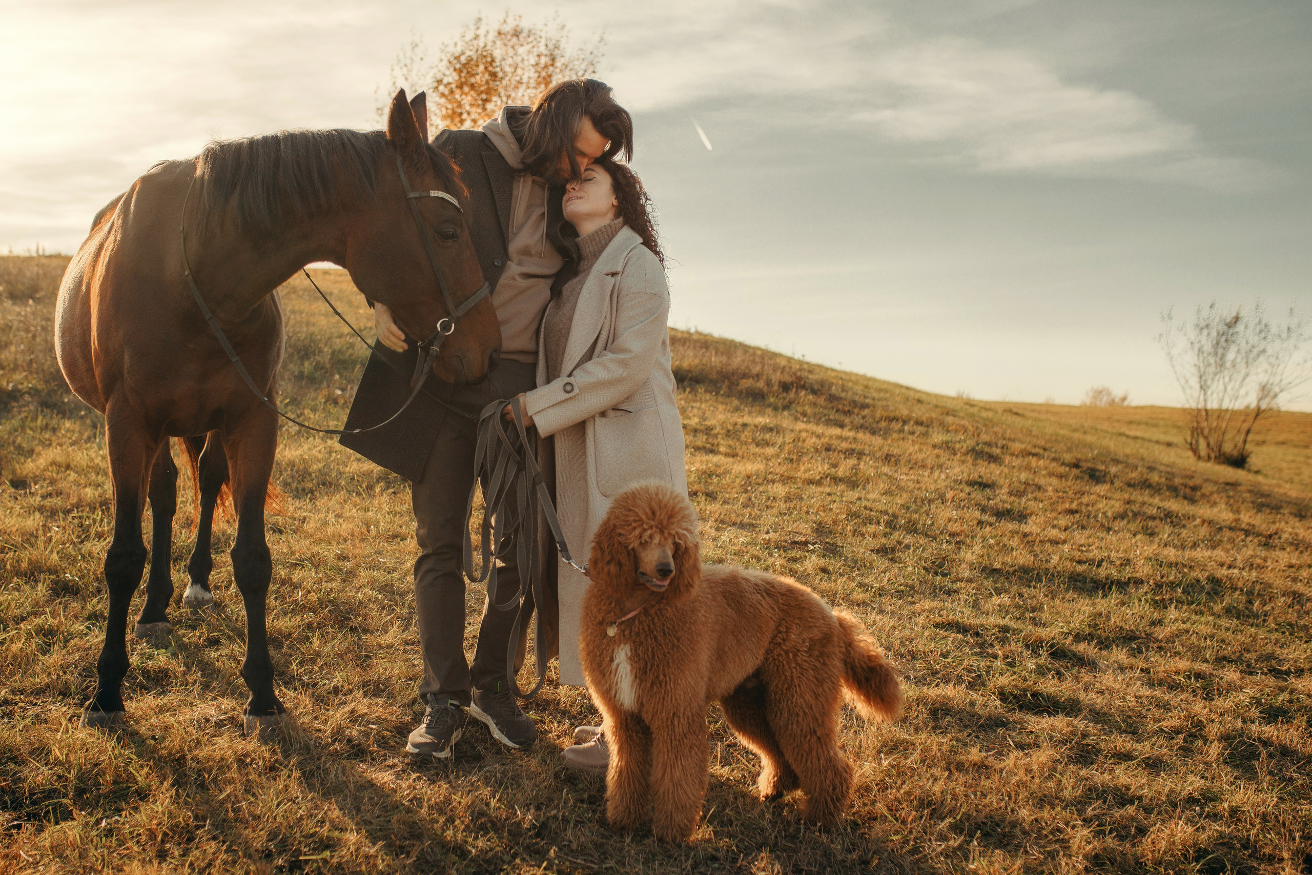 Наши пушистые дети. Главная