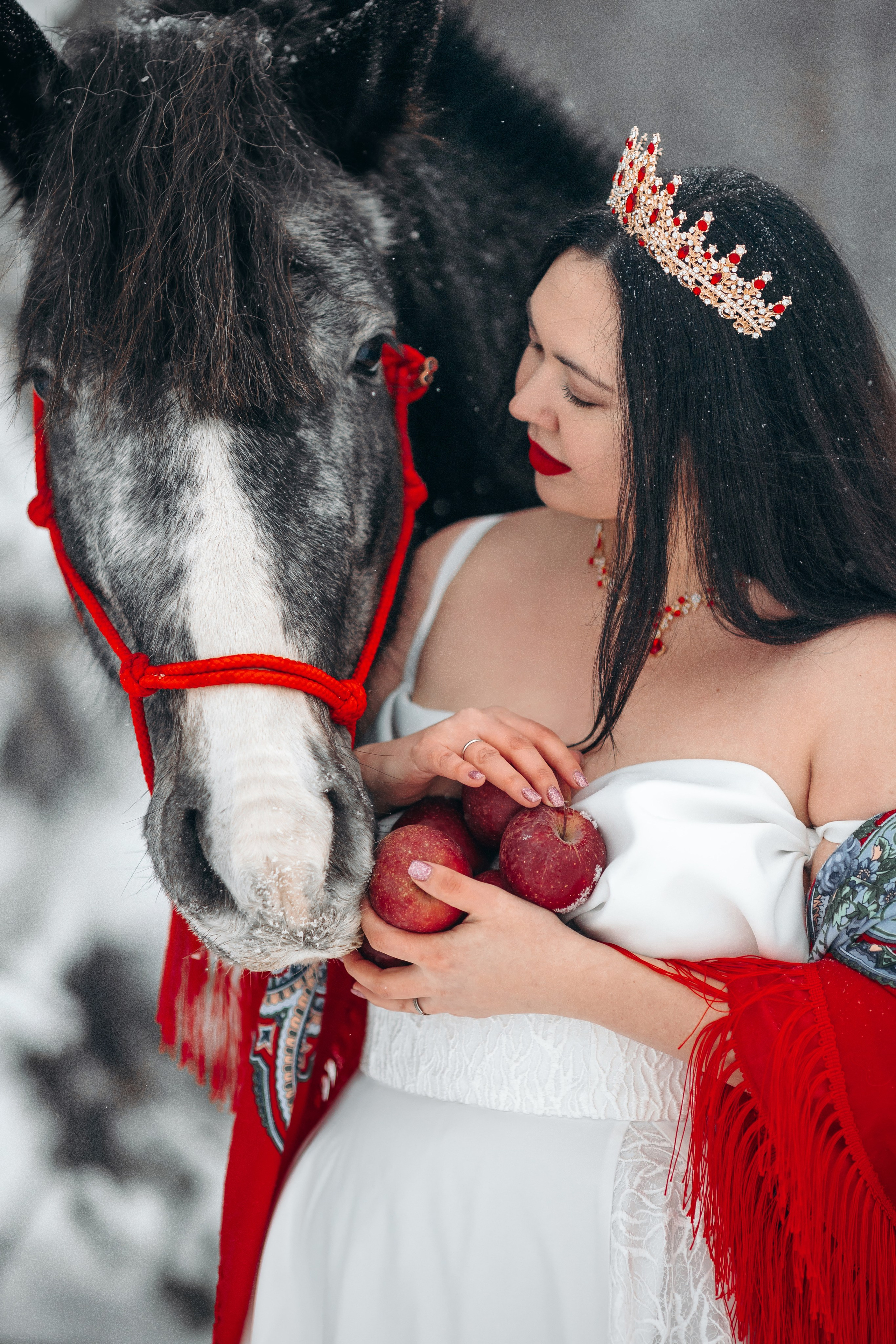 Яблоки на снегу. Анна Молчанова конный фотограф в Тюмени | фотосессии с лошадьми Тюмень