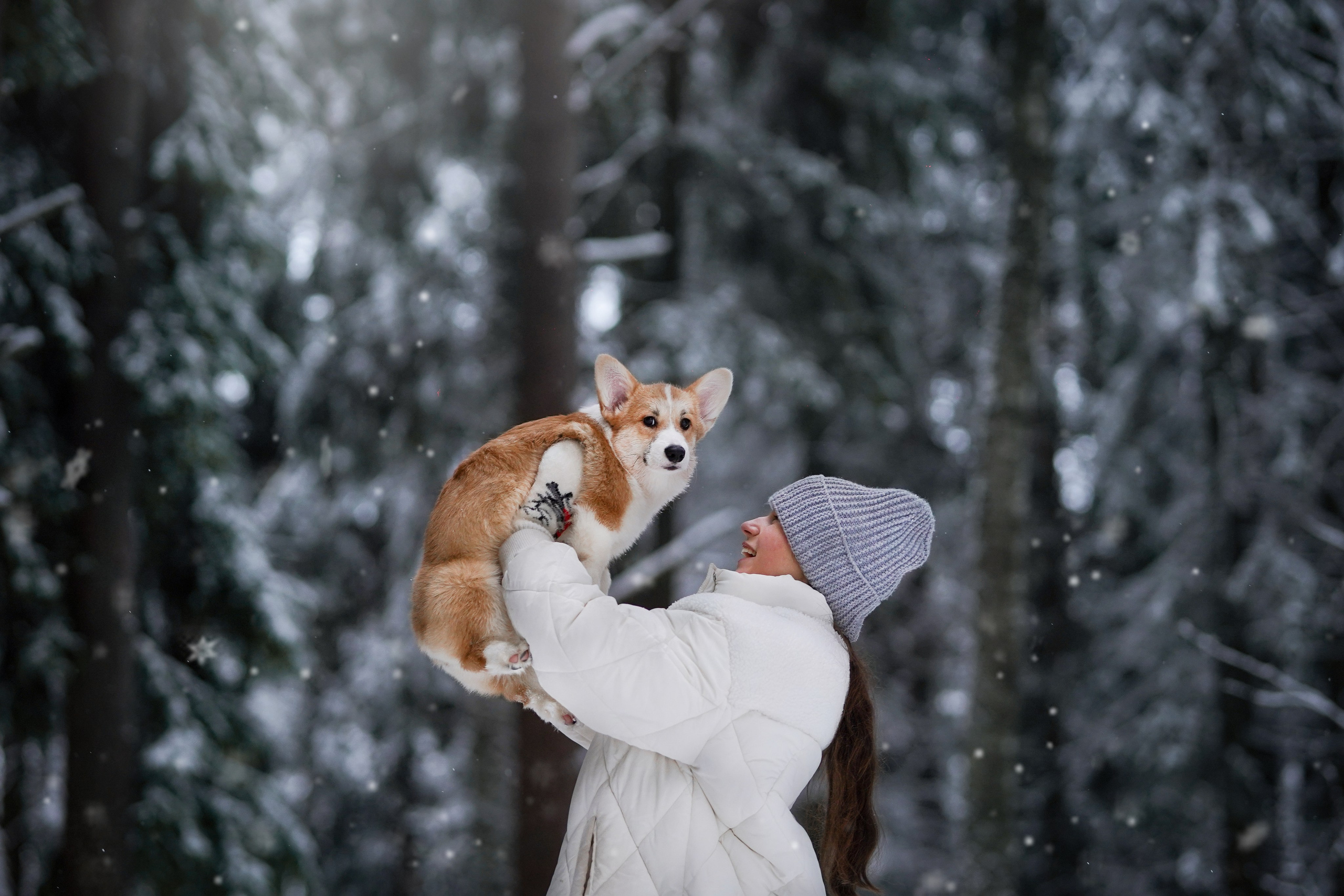 Катя Рокки и Честер. Фотограф-анималист в Санкт-Петербурге Яна Мартынова