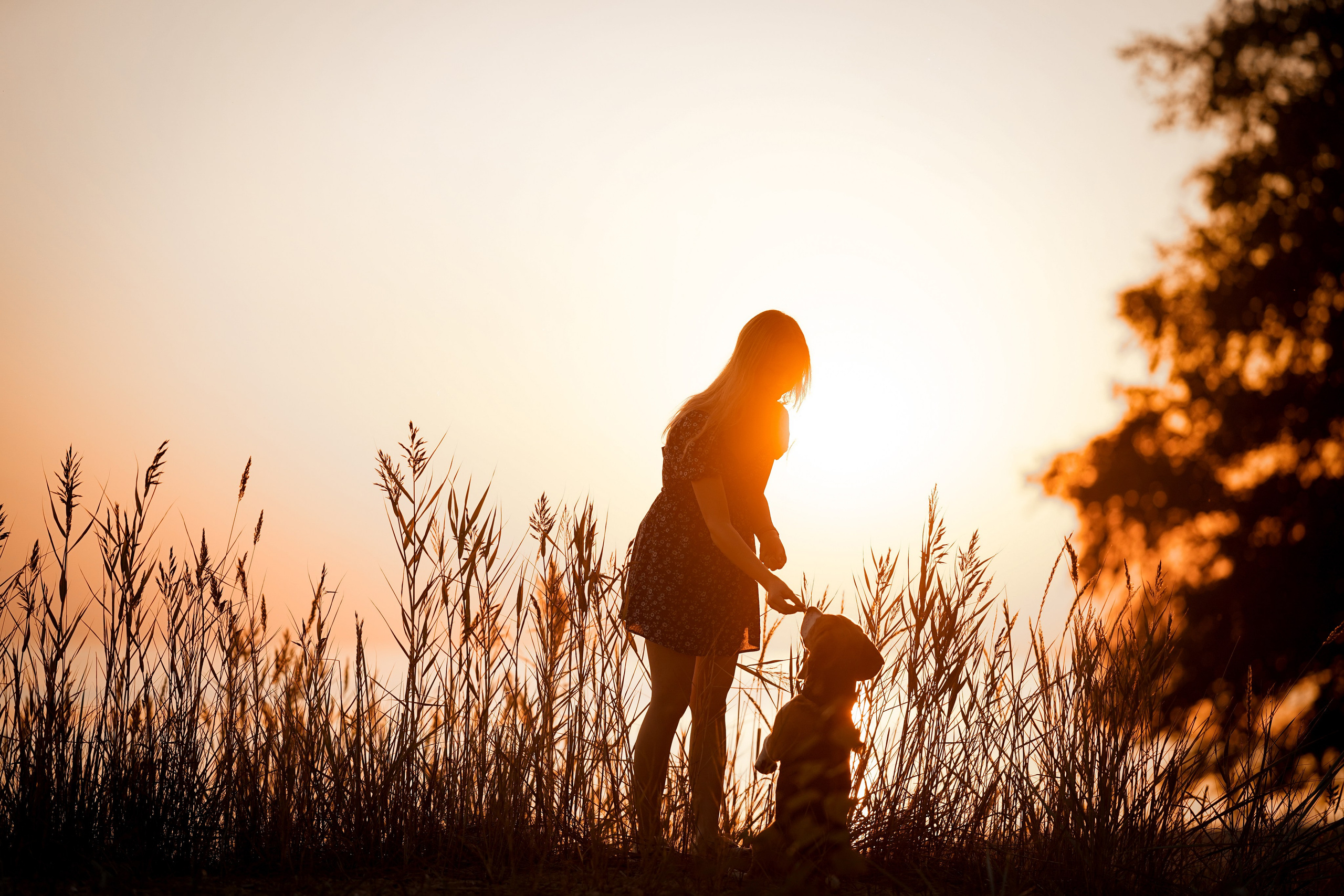 Оля Леша и Ричард. Фотограф-анималист в Санкт-Петербурге Яна Мартынова