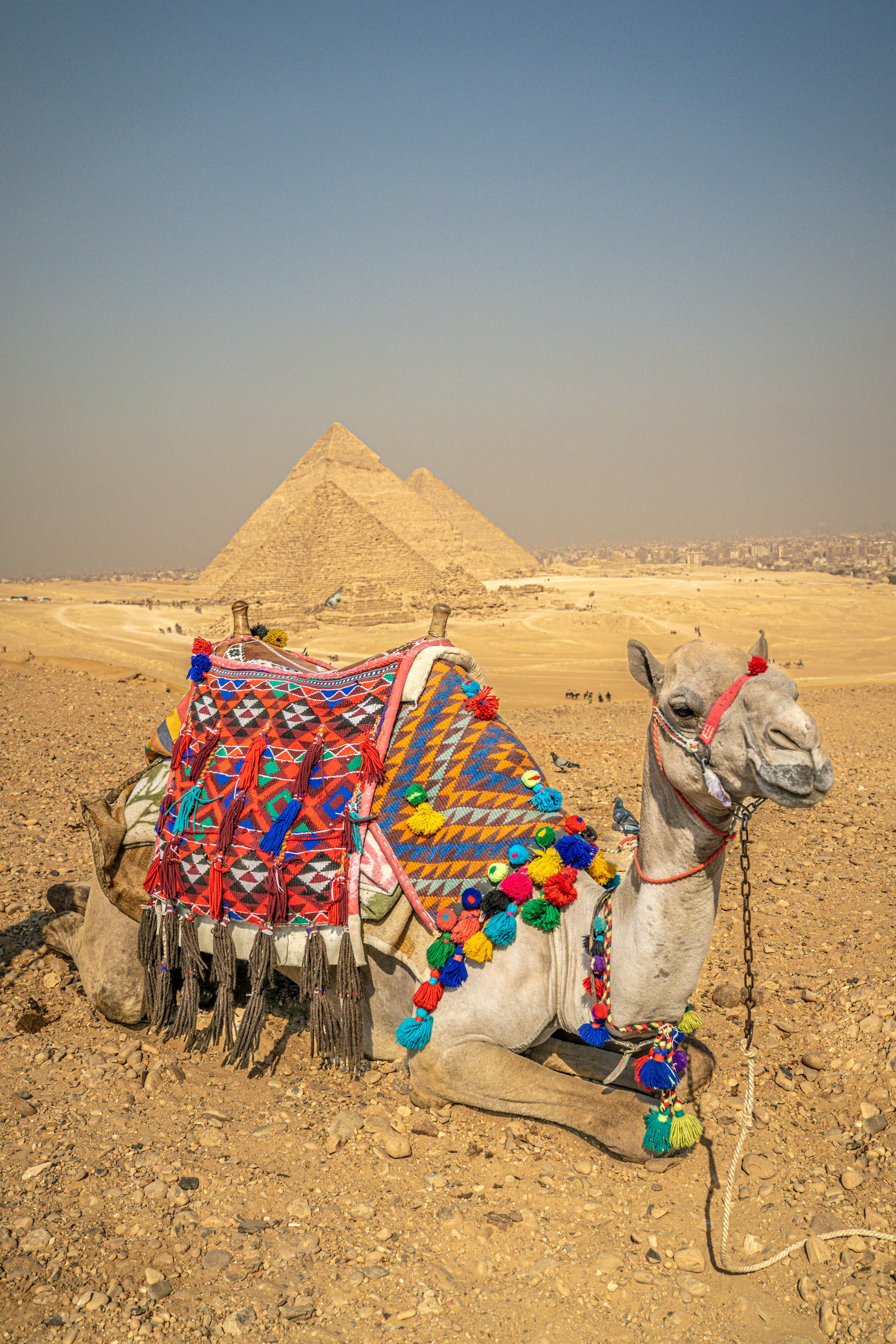 ЕГИПЕТ. Фото и видео съёмка на заказ. VAU Studia. Москва