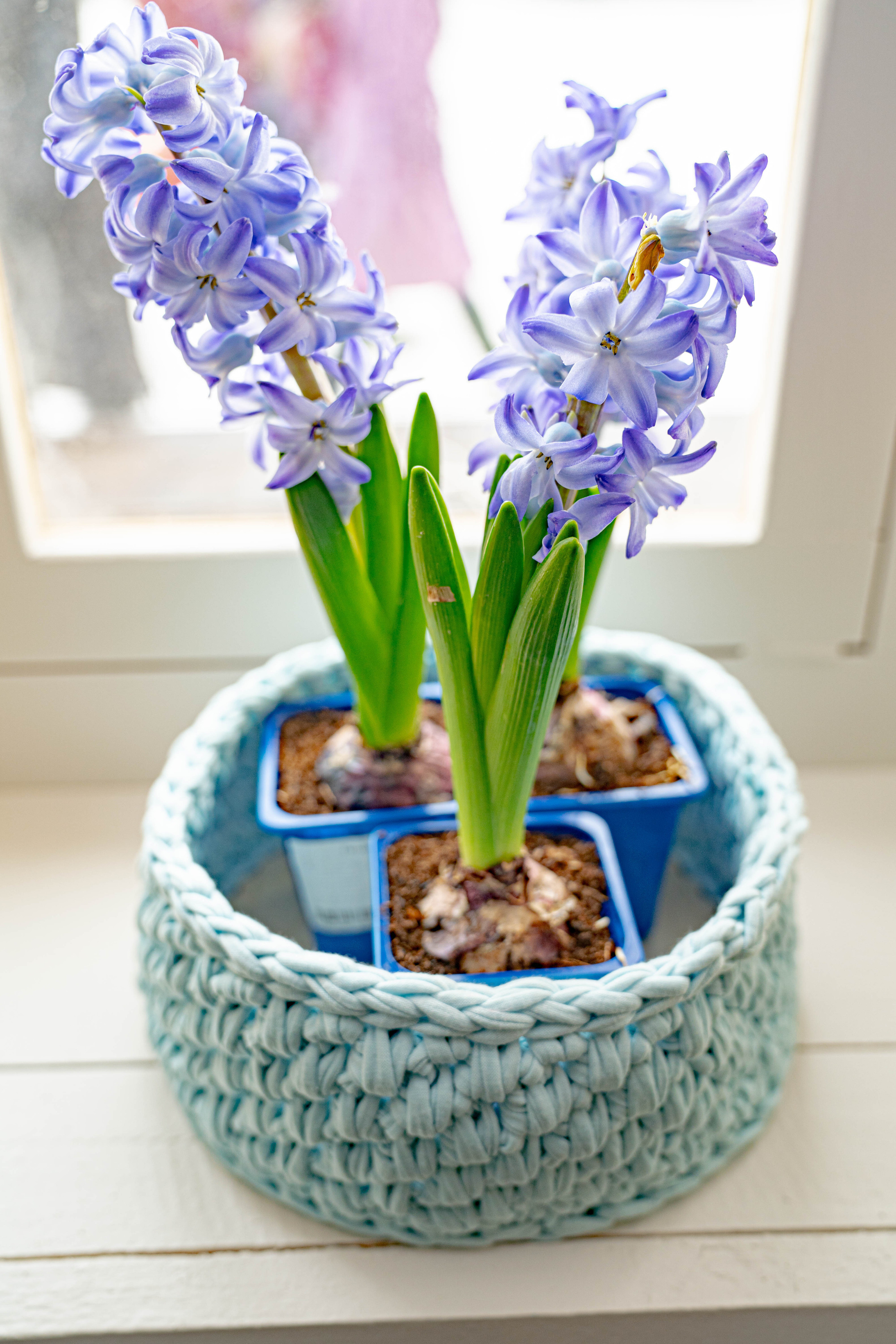 БЕСЕДКА В КРЕСТЬЯНСКОЙ УСАДЬБЕ ОСТРОВ. Фото и видео съёмка на заказ. VAU Studia. Москва