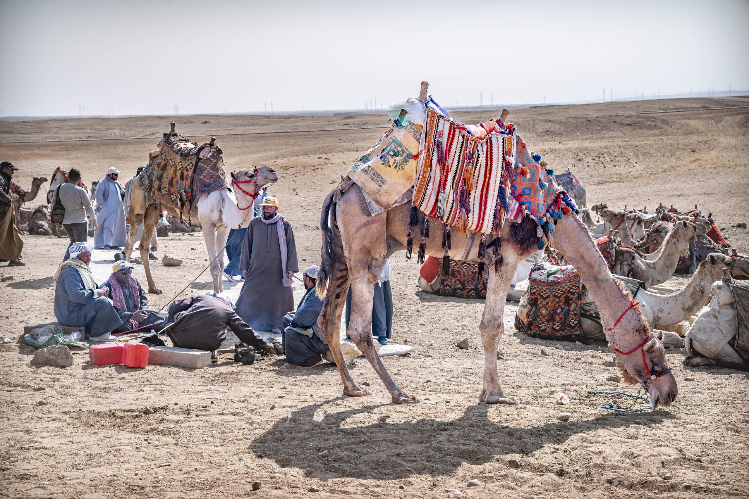 ЕГИПЕТ. Фото и видео съёмка на заказ. VAU Studia. Москва