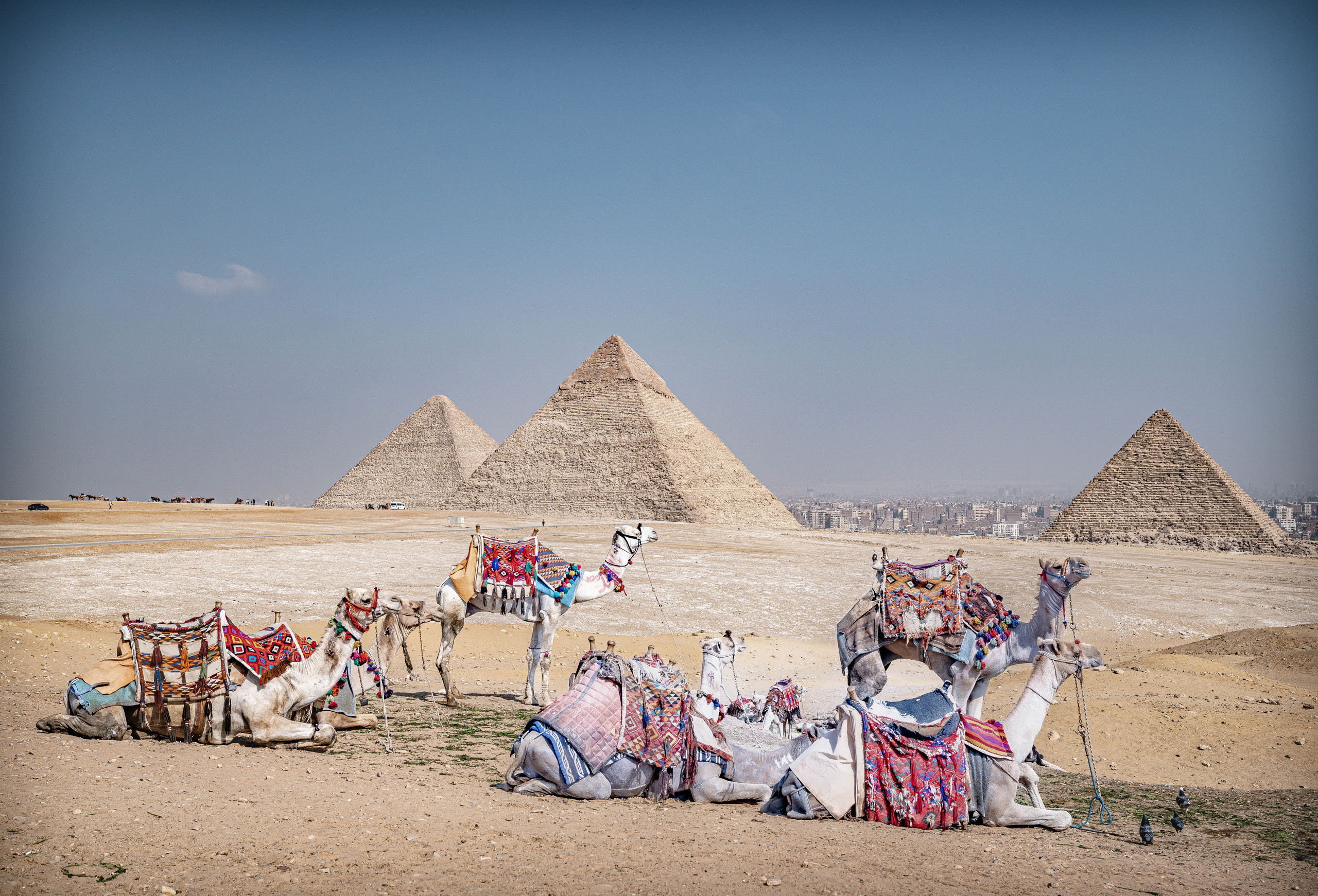 ЕГИПЕТ. Фото и видео съёмка на заказ. VAU Studia. Москва