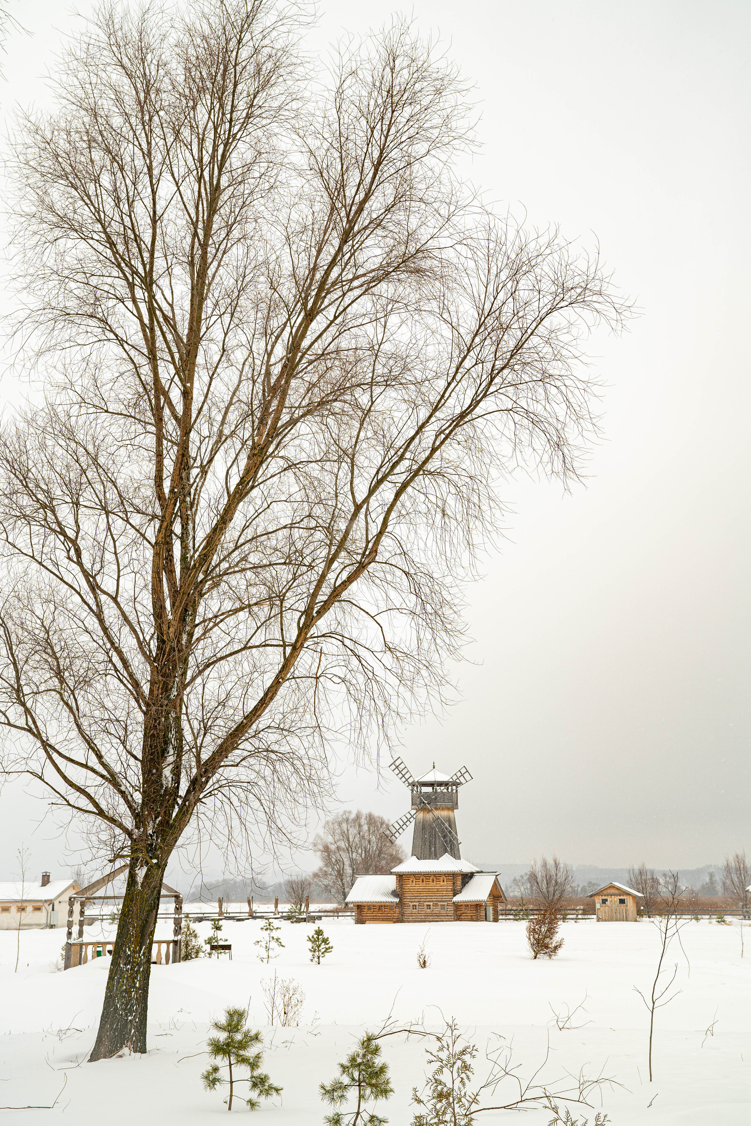 Масленица в Крестьянской усадьбе «Остров». Фото и видео съёмка на заказ. VAU Studia. Москва