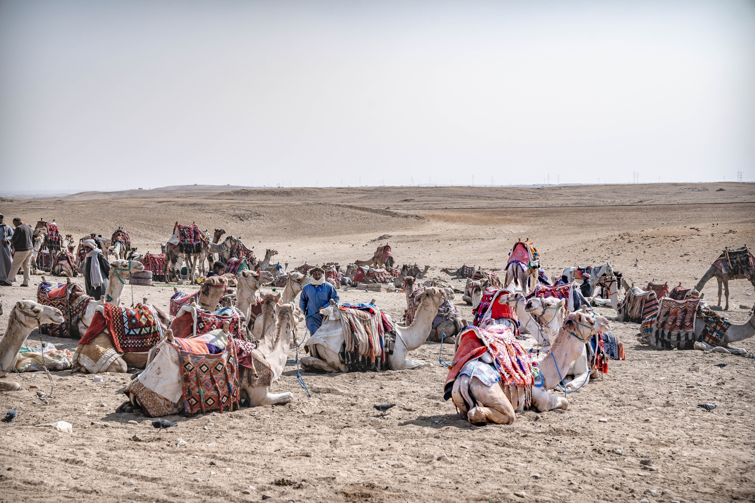 ЕГИПЕТ. Фото и видео съёмка на заказ. VAU Studia. Москва