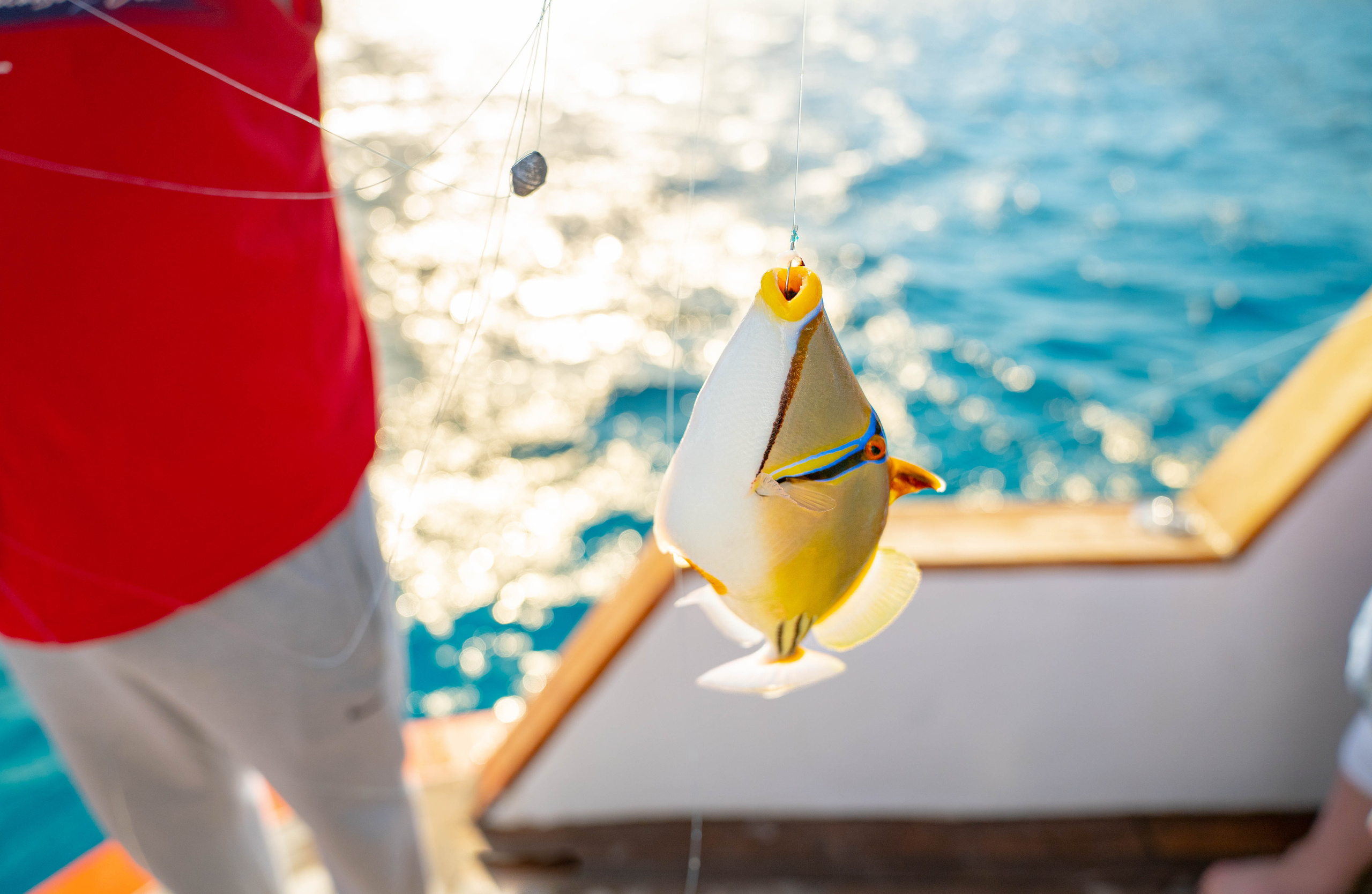 РАЙСКИЕ ОСТРОВА. Фото и видео съёмка на заказ. VAU Studia. Москва