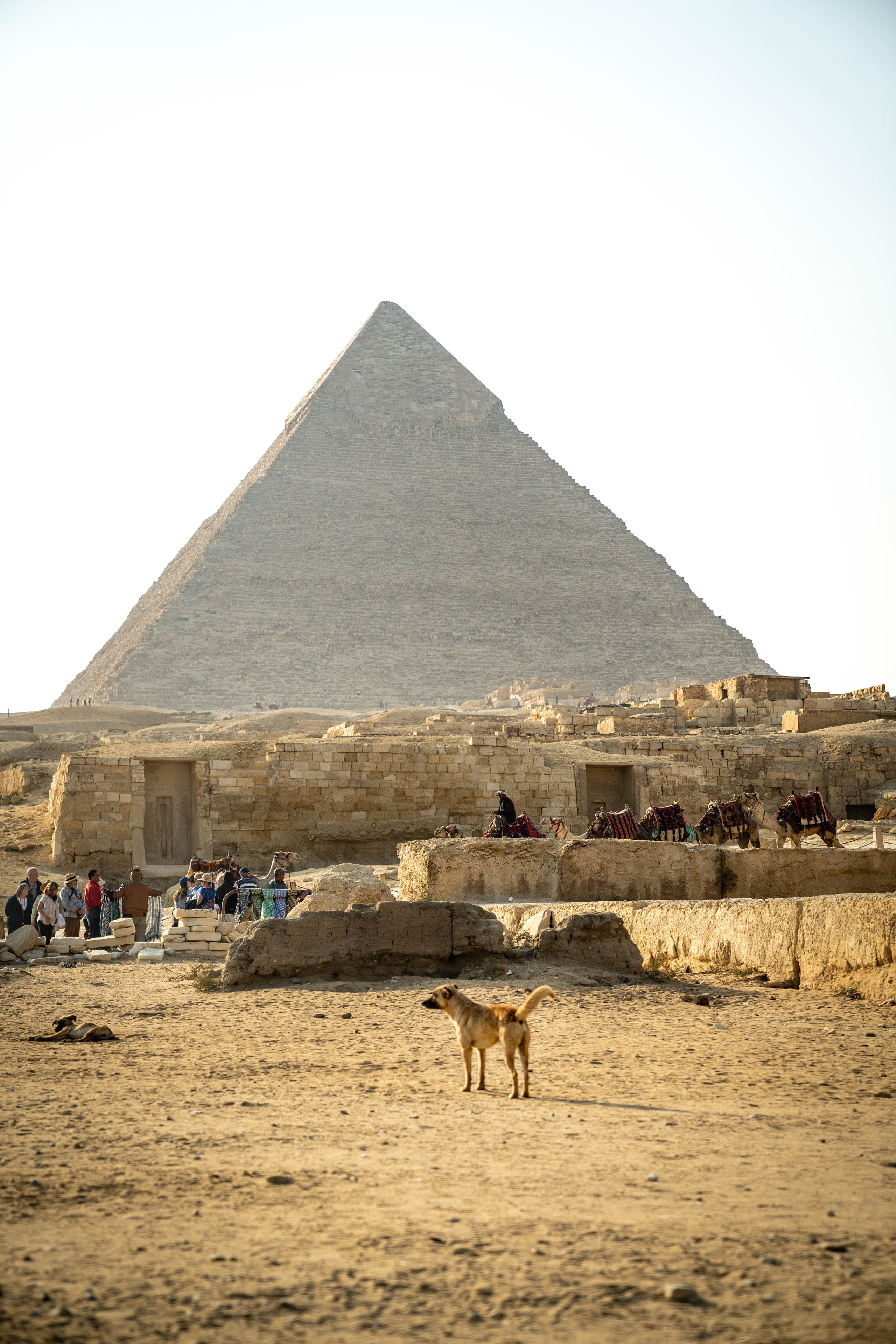 ЕГИПЕТ. Фото и видео съёмка на заказ. VAU Studia. Москва