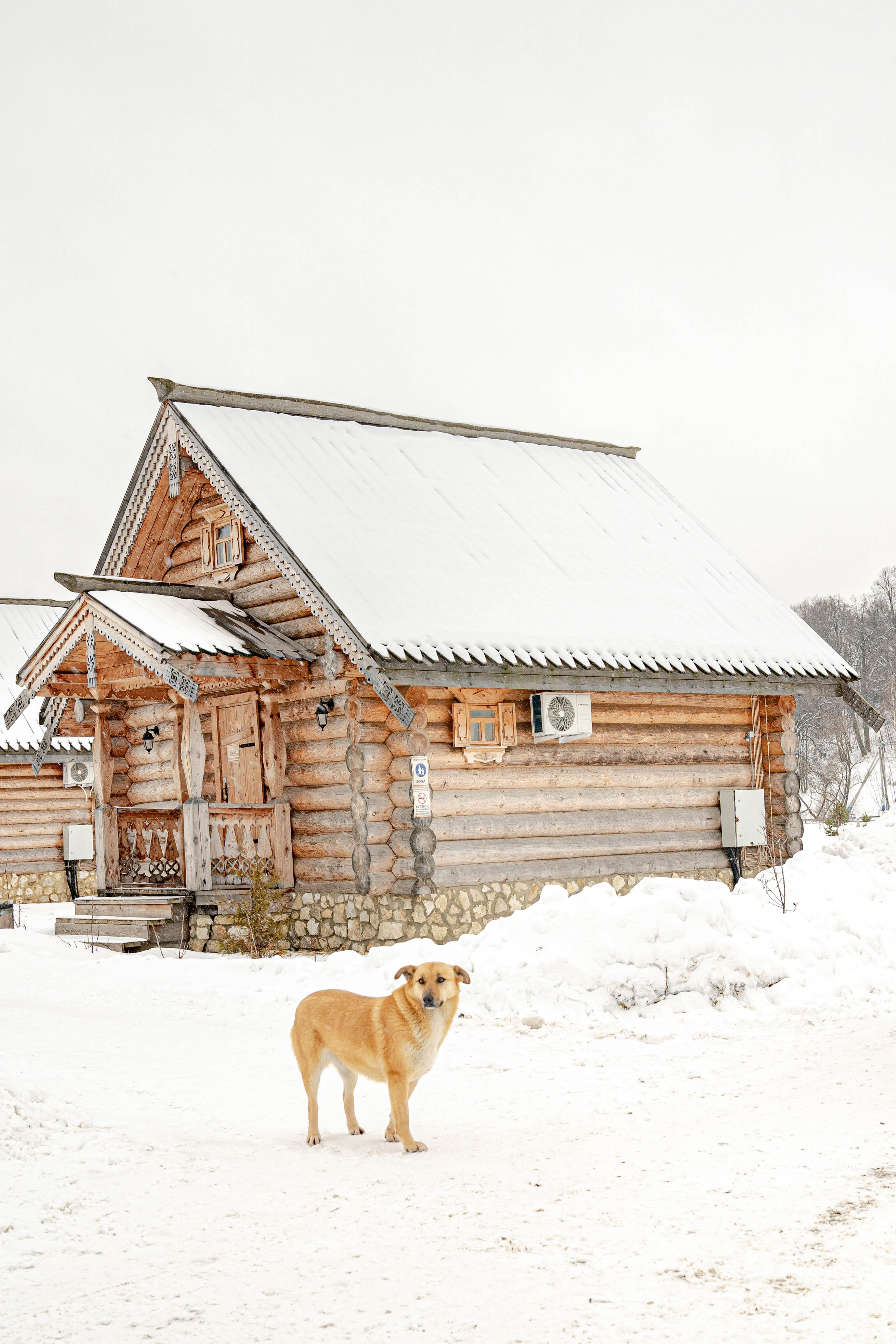 Масленица в Крестьянской усадьбе «Остров». Фото и видео съёмка на заказ. VAU Studia. Москва