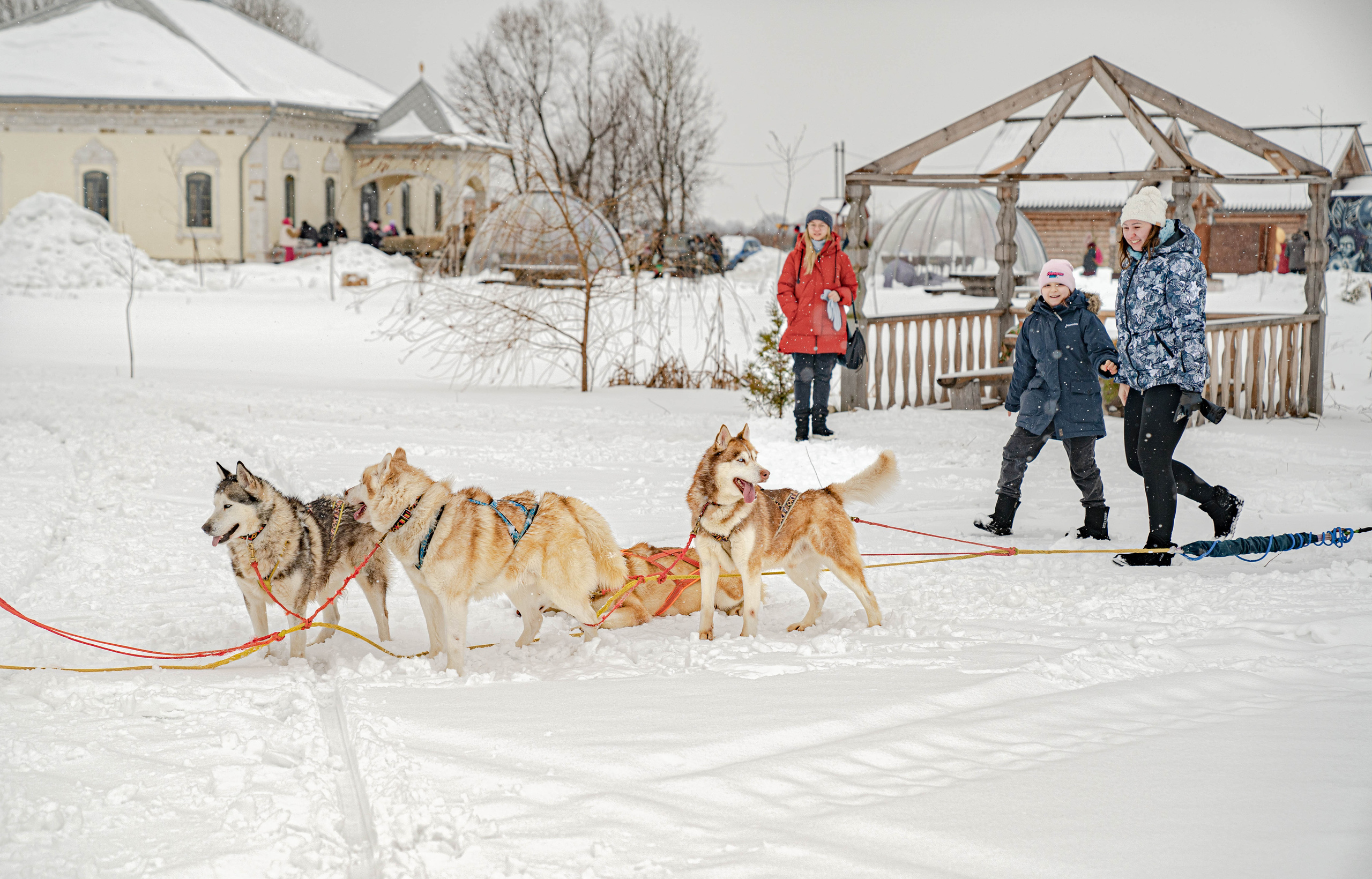 Масленица в Крестьянской усадьбе «Остров». Фото и видео съёмка на заказ. VAU Studia. Москва