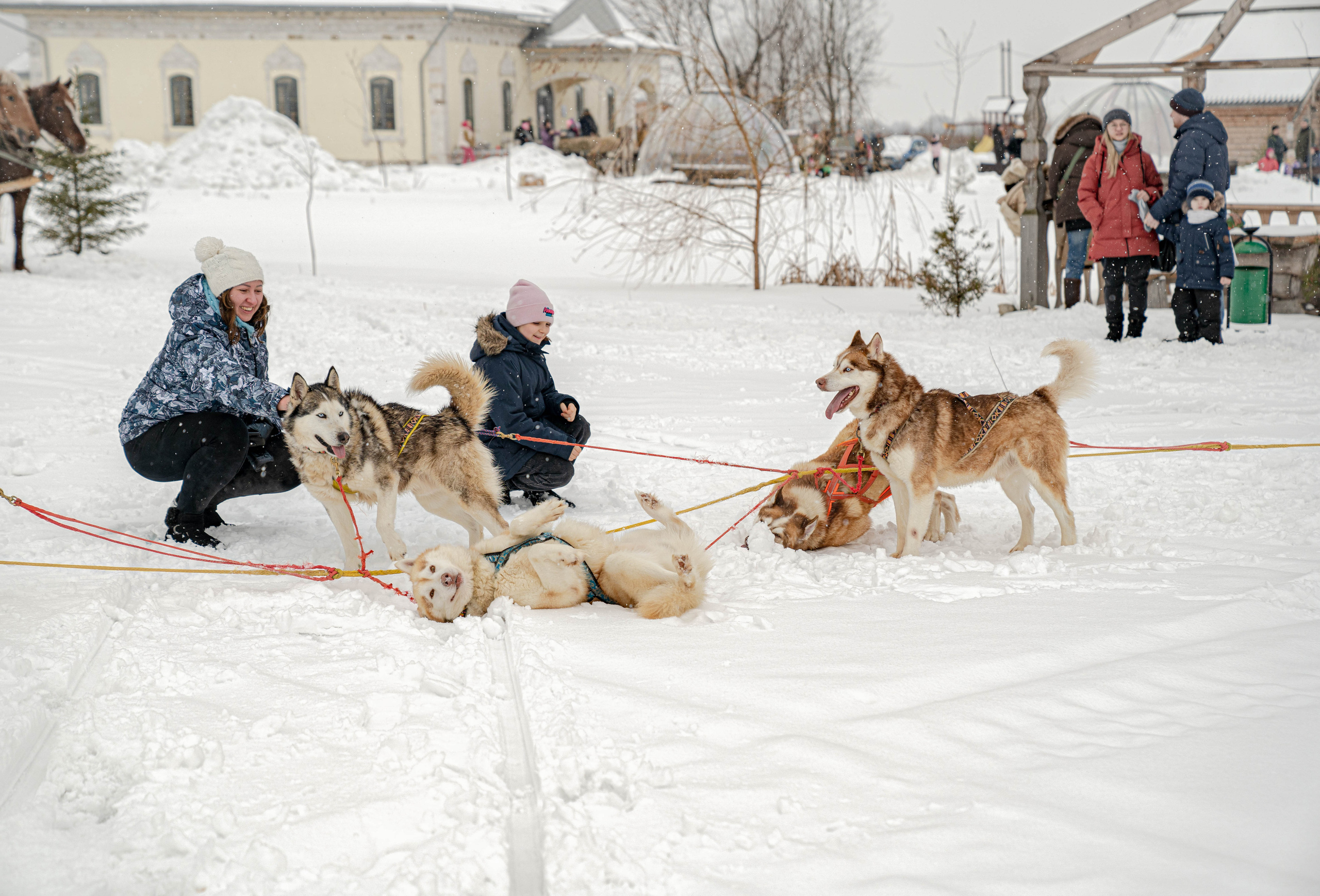 Масленица в Крестьянской усадьбе «Остров». Фото и видео съёмка на заказ. VAU Studia. Москва