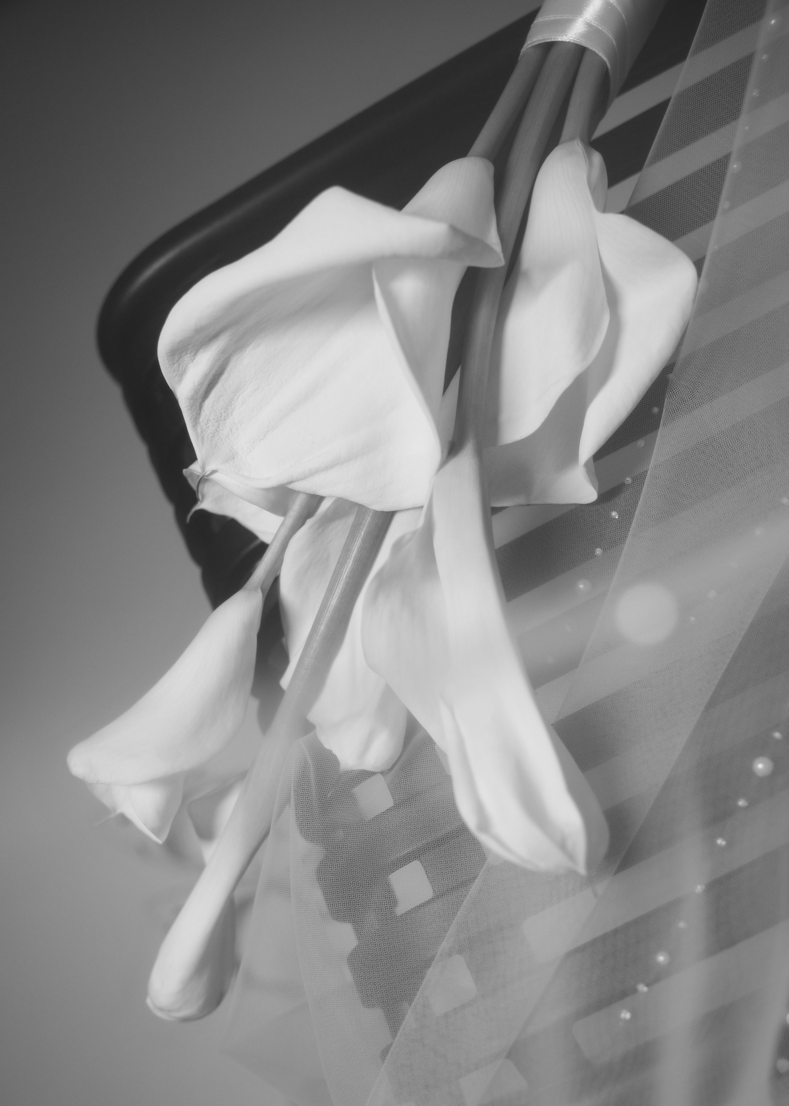 Дарья. Главная