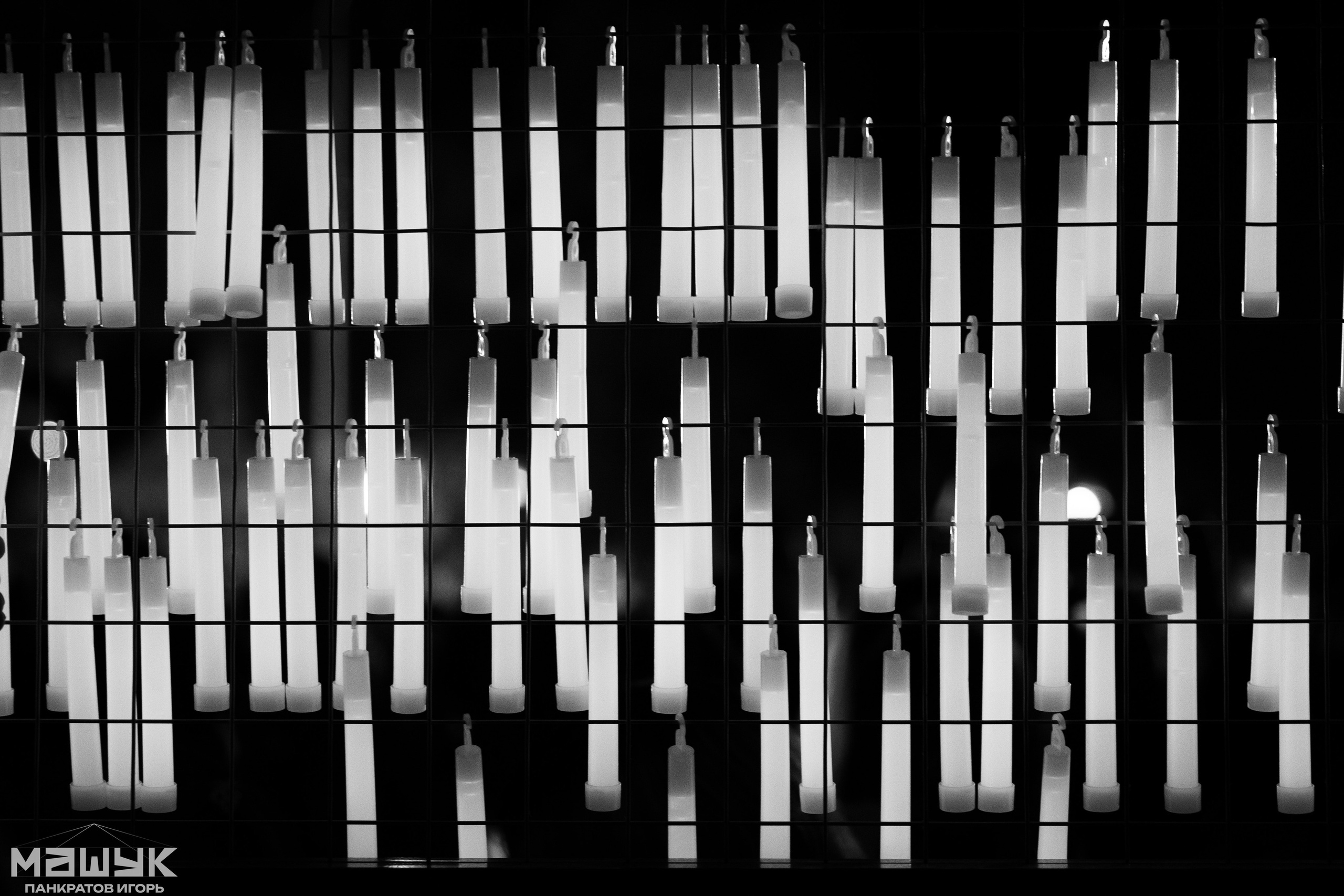 Репортаж. Игорь Панкратов | Фотограф Ставрополь