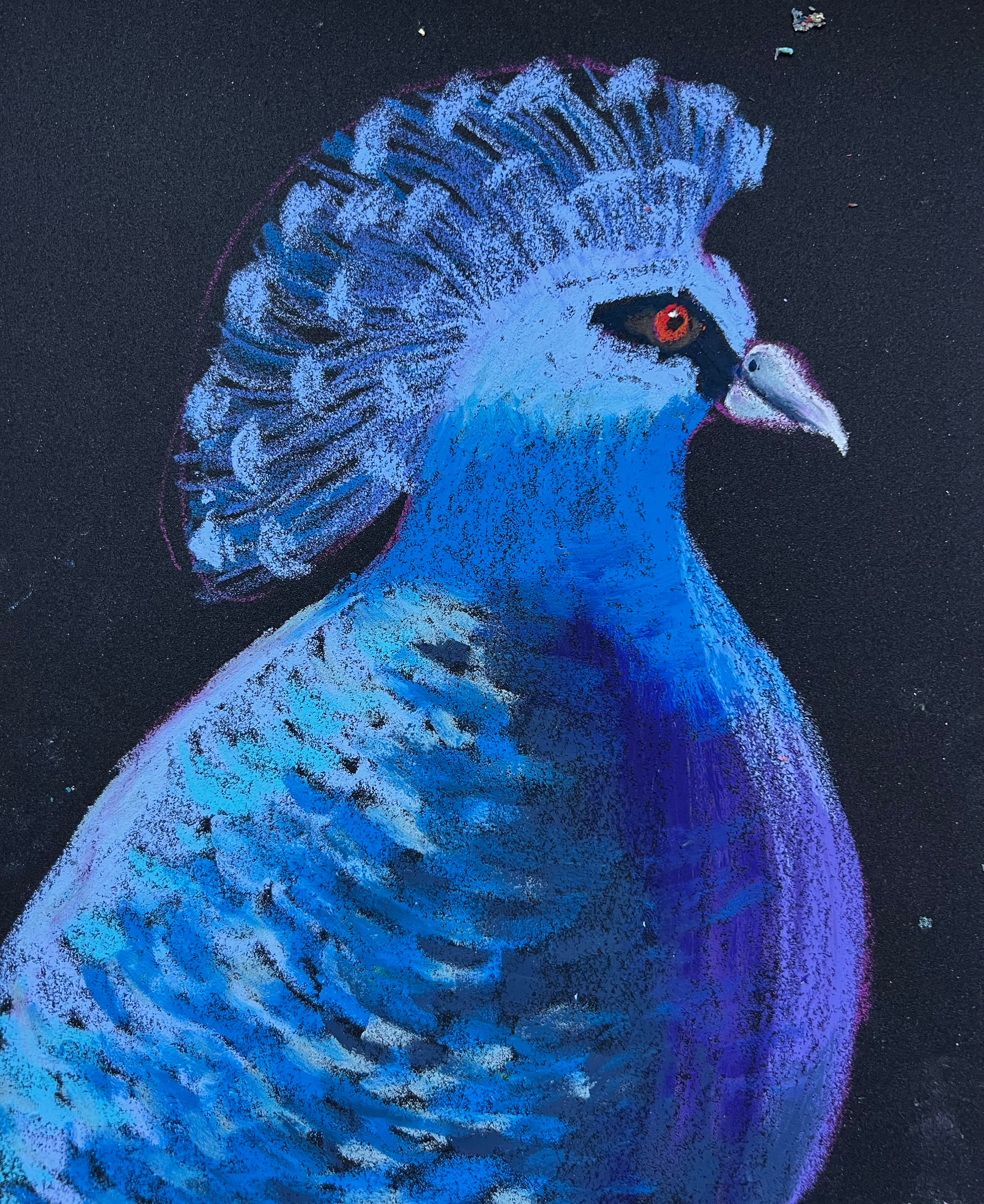 Title: Fan-bearing Wreath-bearing Dove Material: Oil pastel, paper Size: 28 x 23 cm