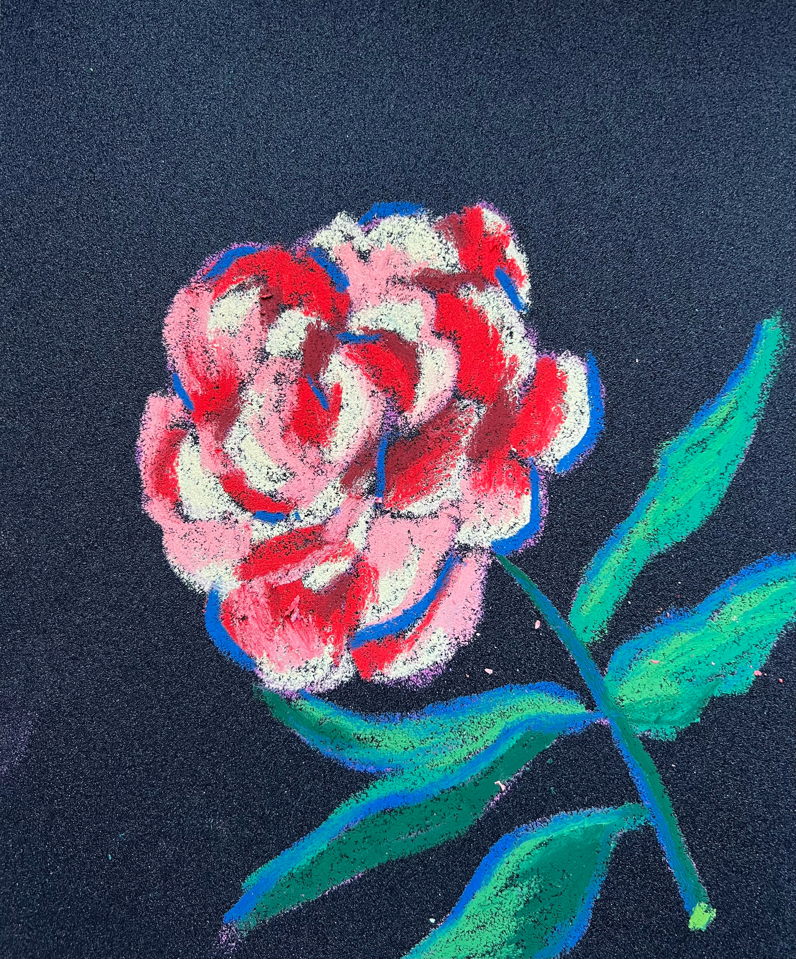 Title: Rose Material: Oil pastel, paper Size: 28 x 23 cm
