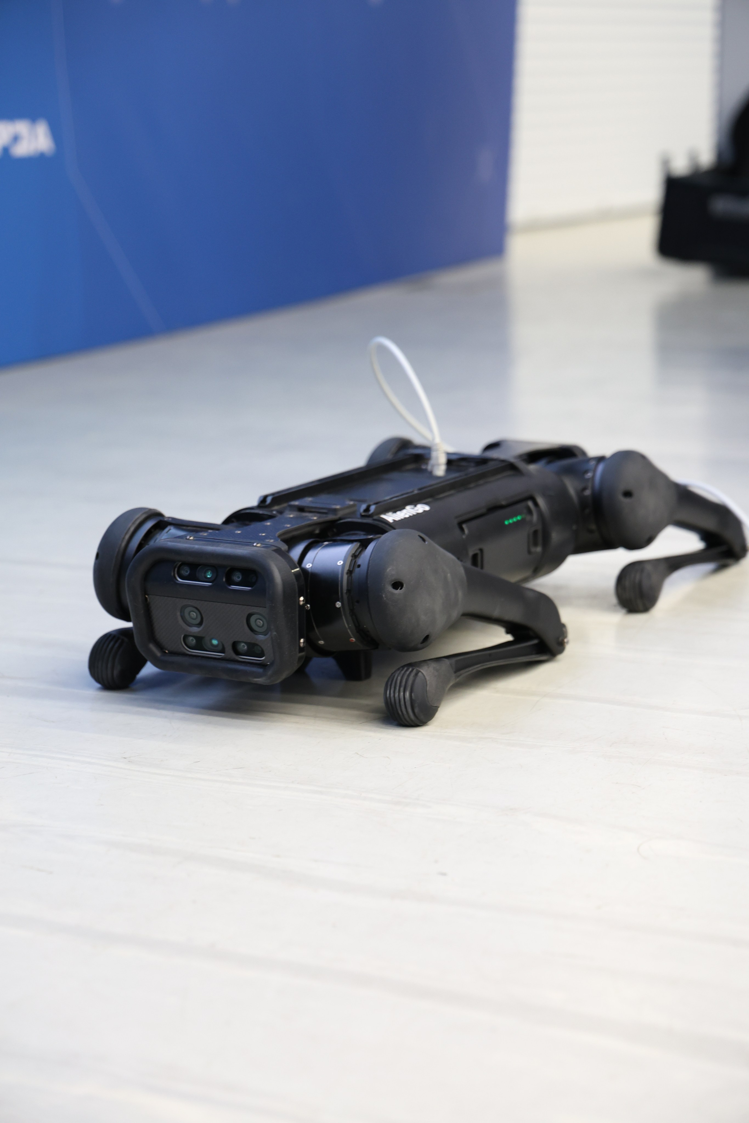 ROS Meetup. Коммерческий фотограф в Москве