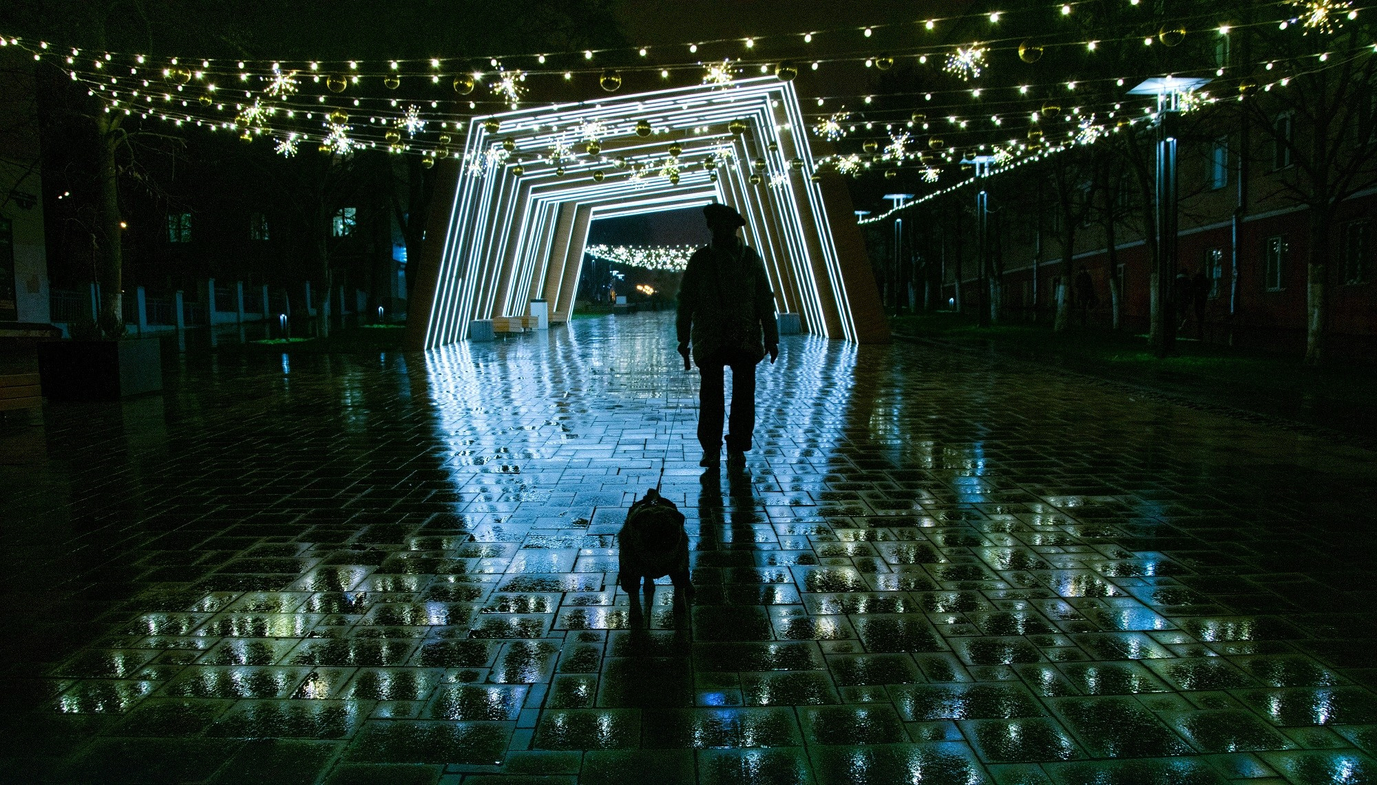 Белгород. Творческий уголок фотографа из Белгорода Ивановой Елены