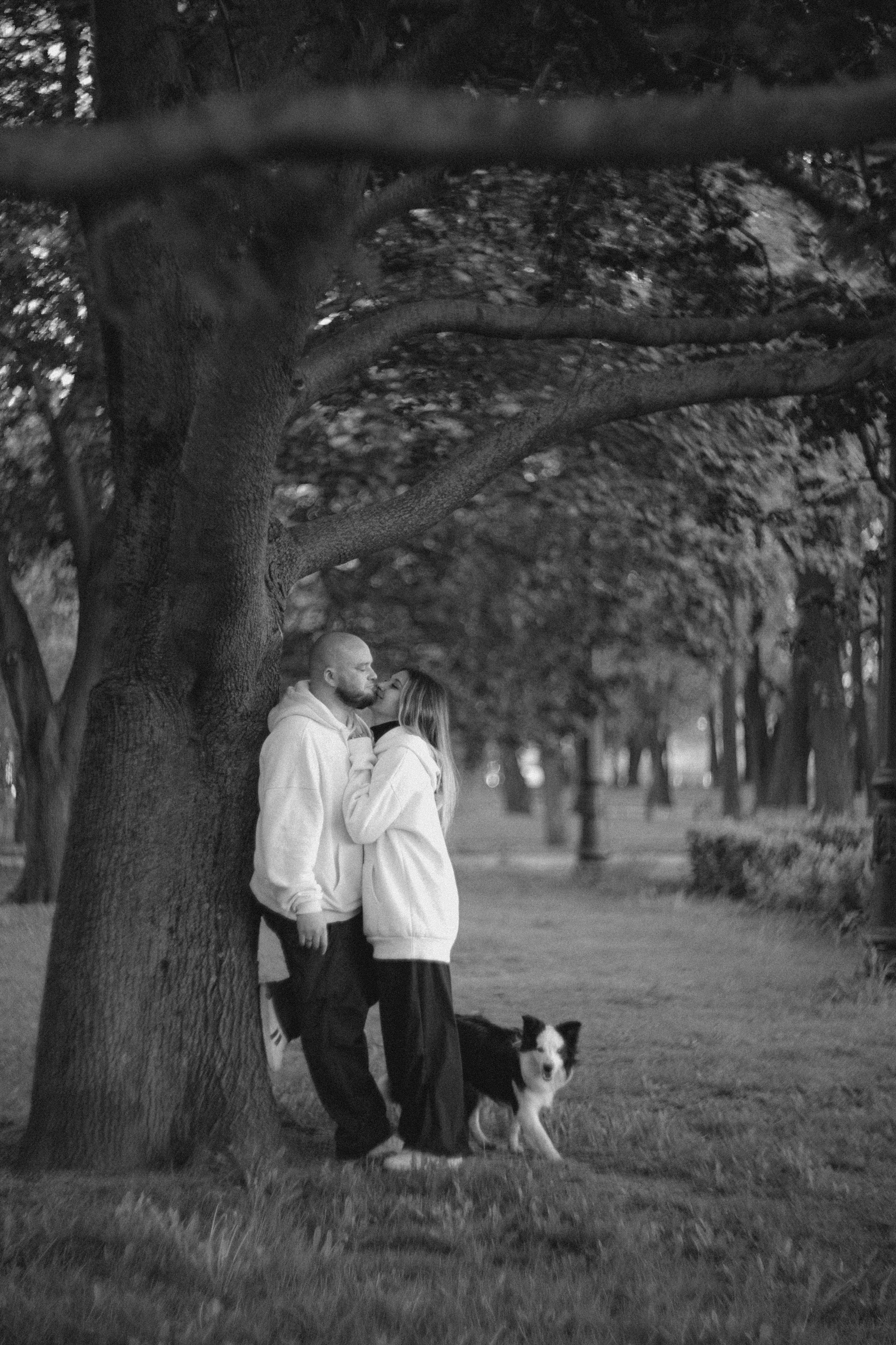 Таня, Дима и Чейси. Фотограф анималист в Москве и Санкт-Петербурге Свиридова Анна