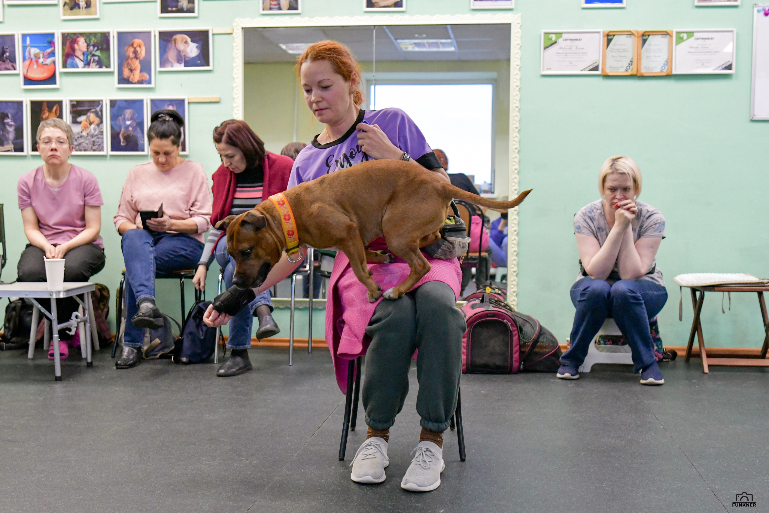 Кинологический клуб «Бодрый хвост». Свой взгляд через объектив