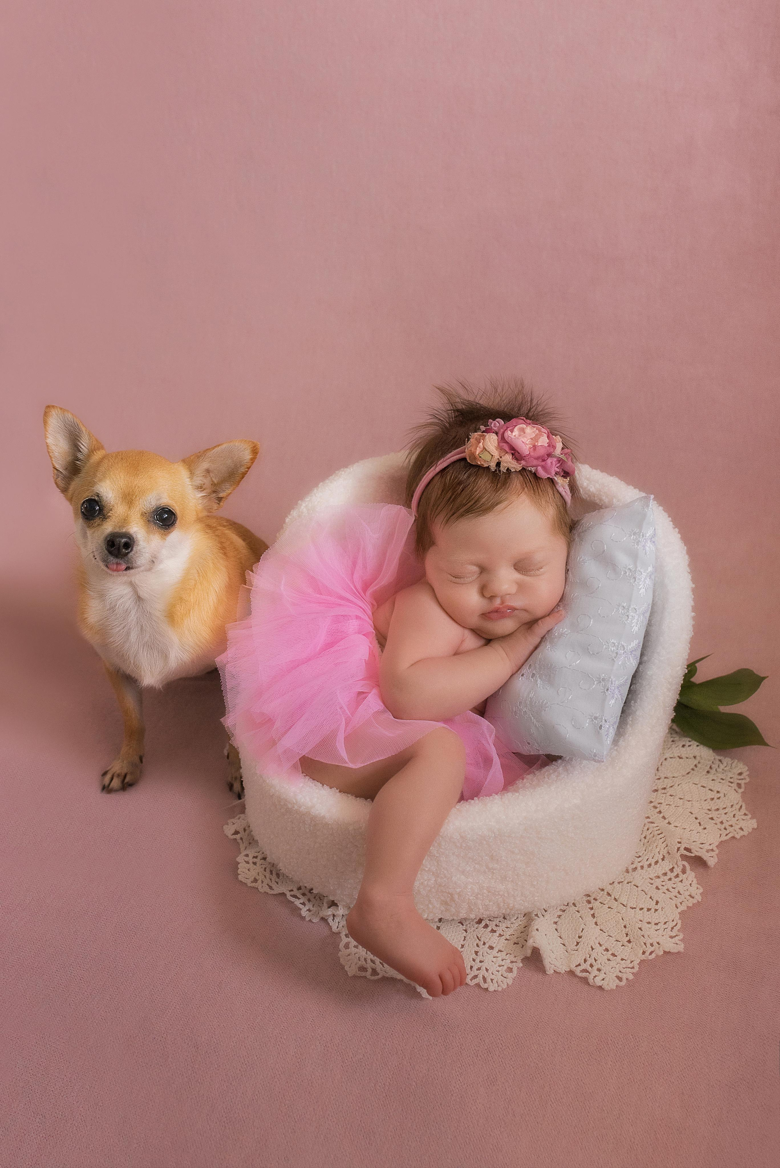 Аника. Фотограф новорожденных в Екатеринбурге Лена Ильина