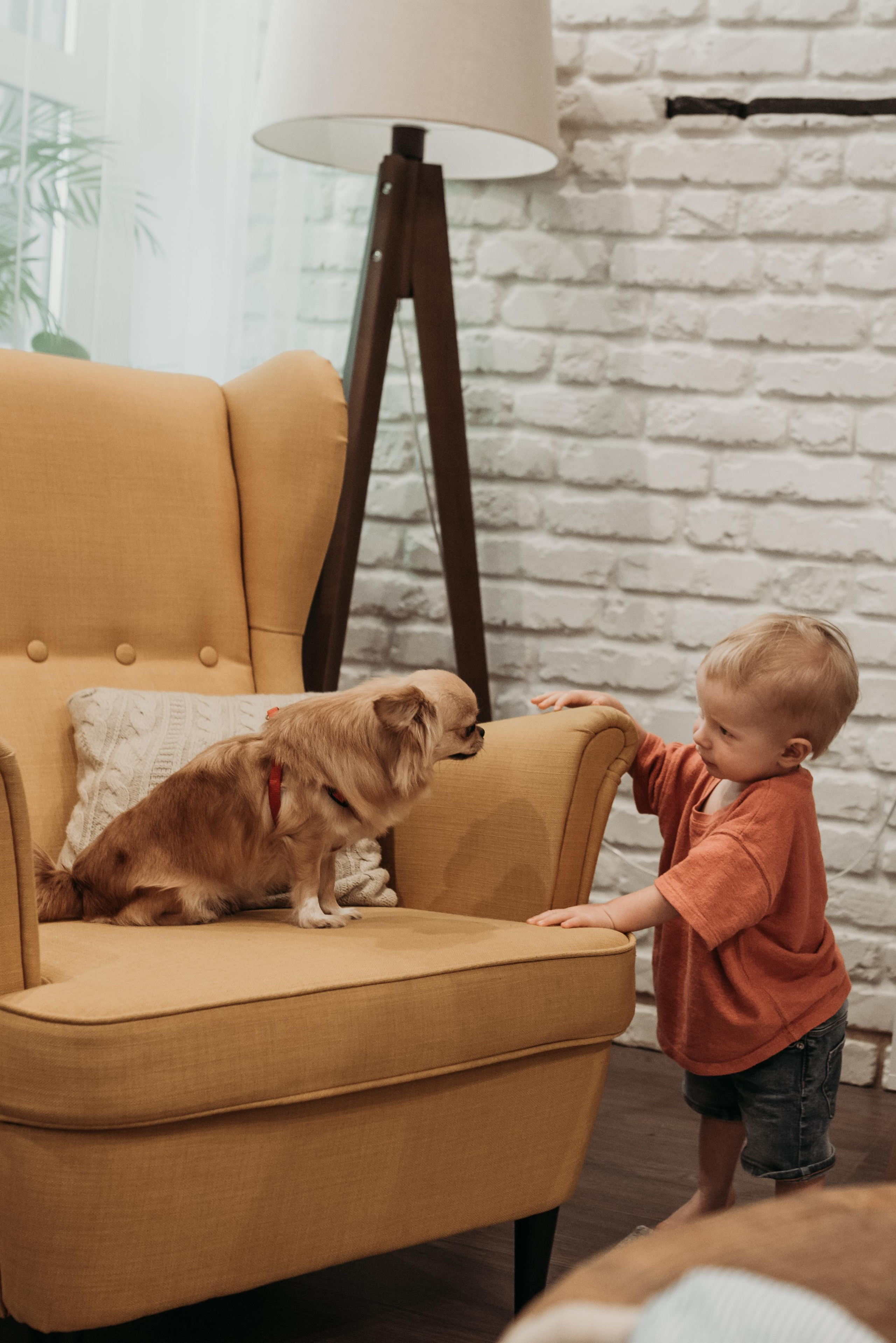 Лев, 1 годик (домашняя фотосессия). Фотограф новорожденных в Екатеринбурге Лена Ильина