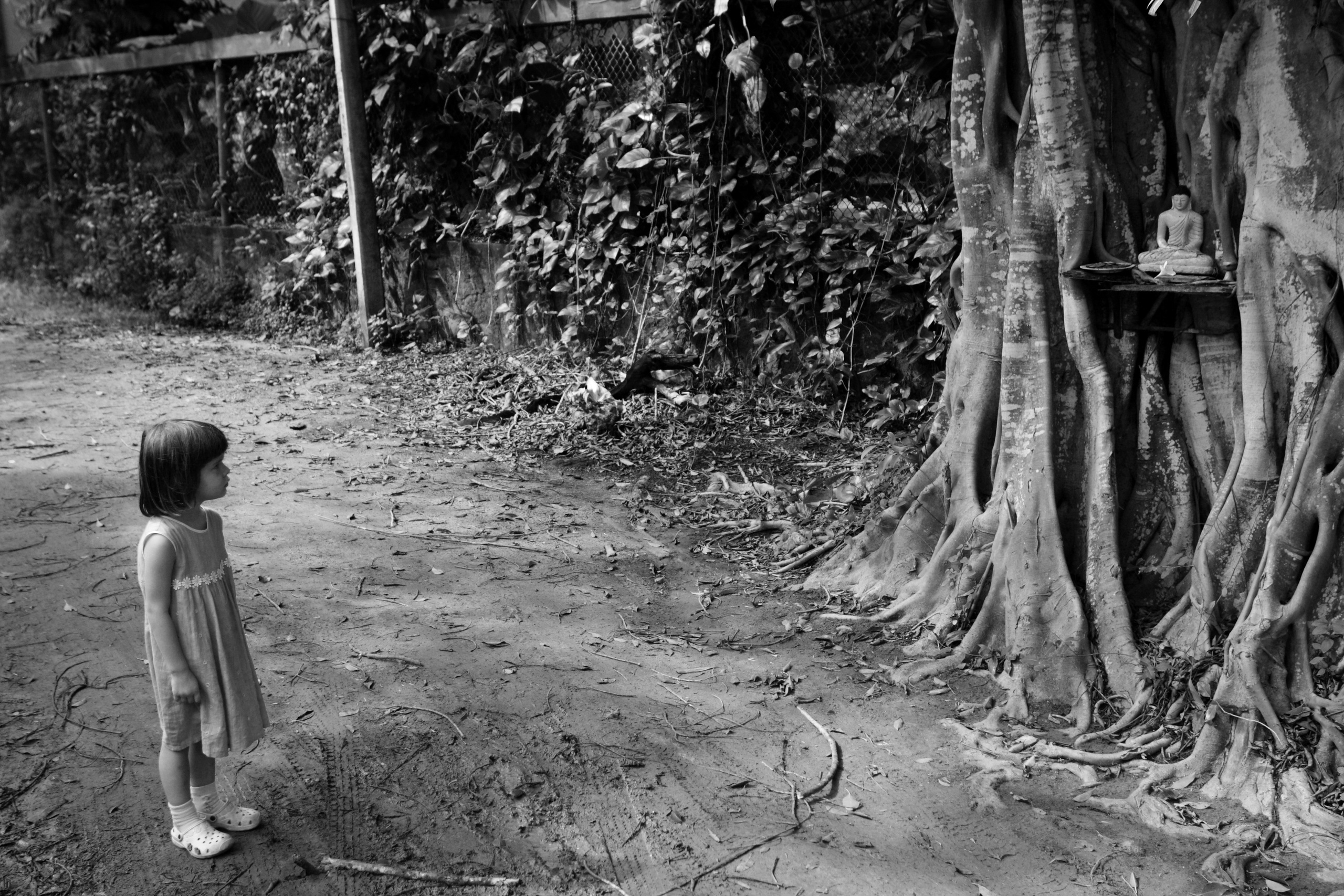 Жанр. Фотограф Лагутин Анатолий