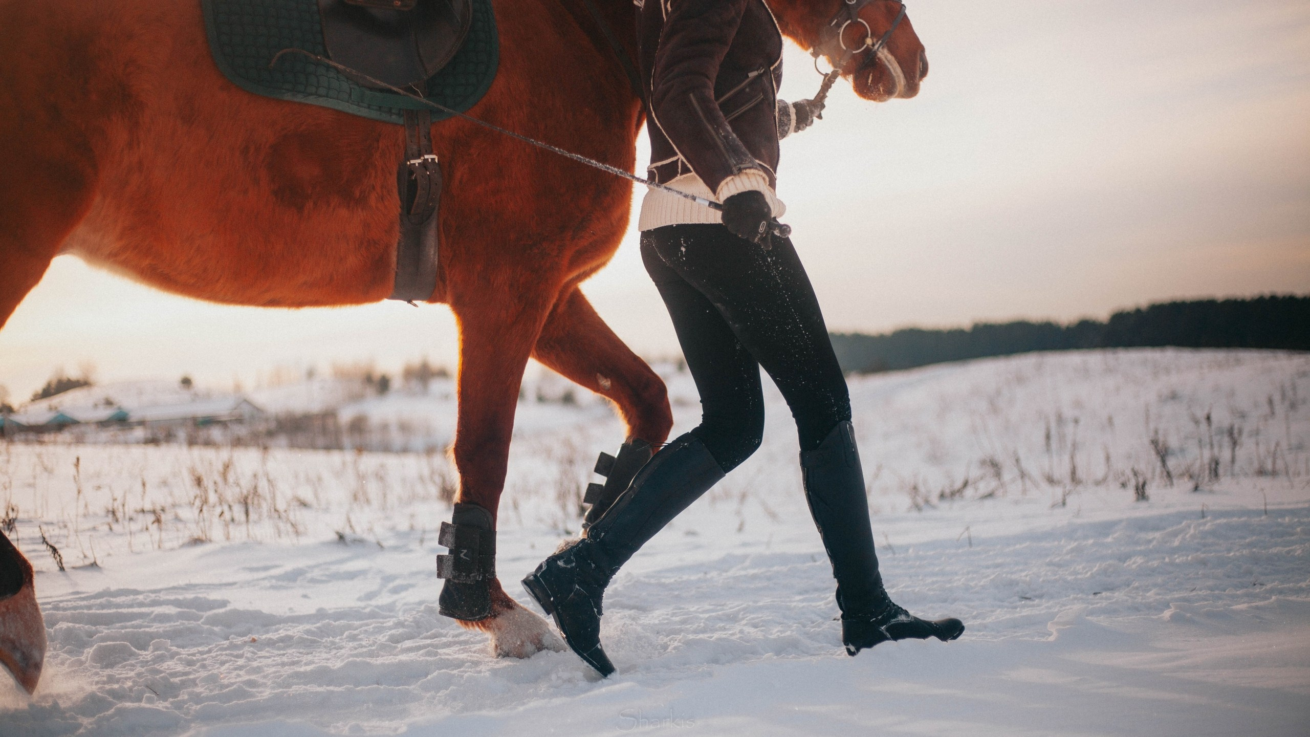 Ирина и Гепард. Фотограф Елизавета Филатова