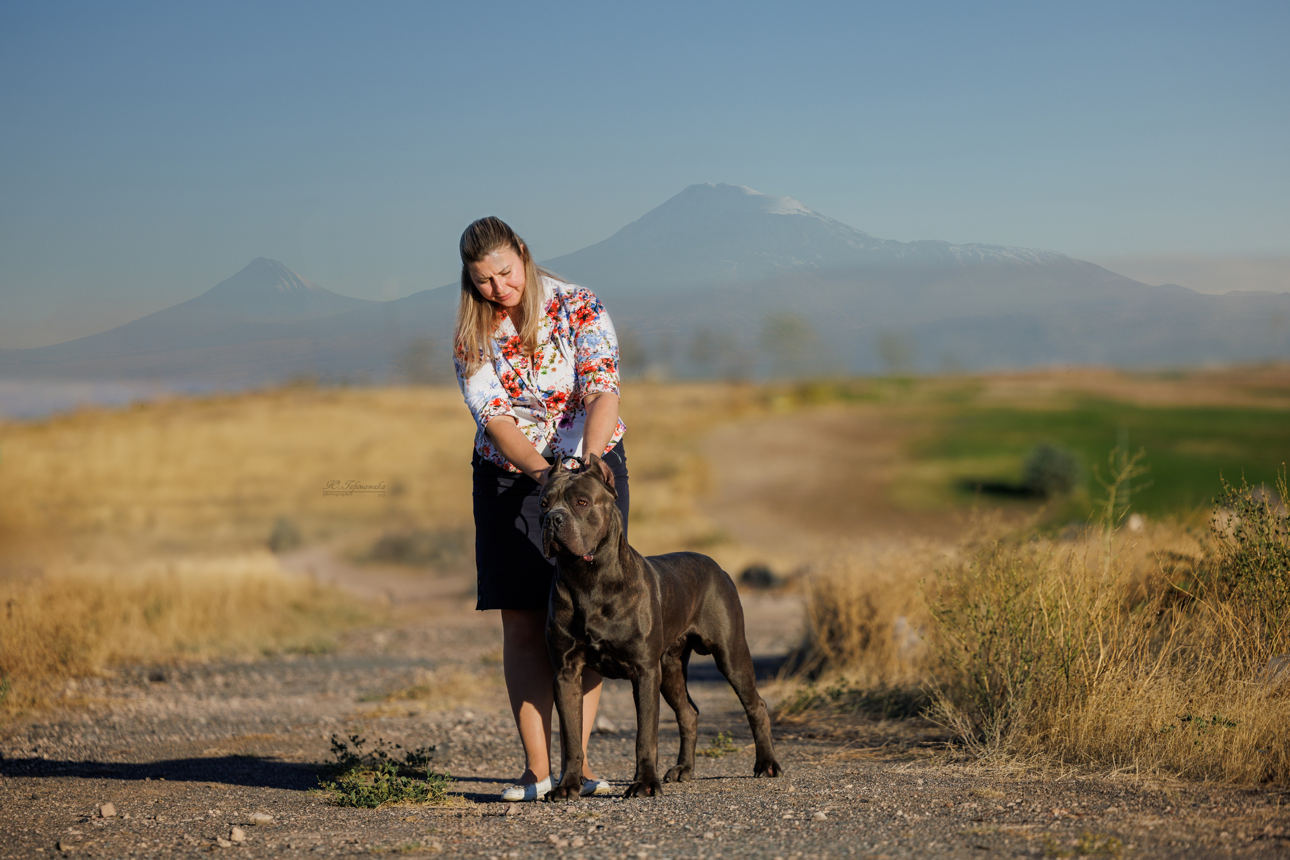 Ереван 14-16.10.2025. Фотограф-анималист Юлия Германика
