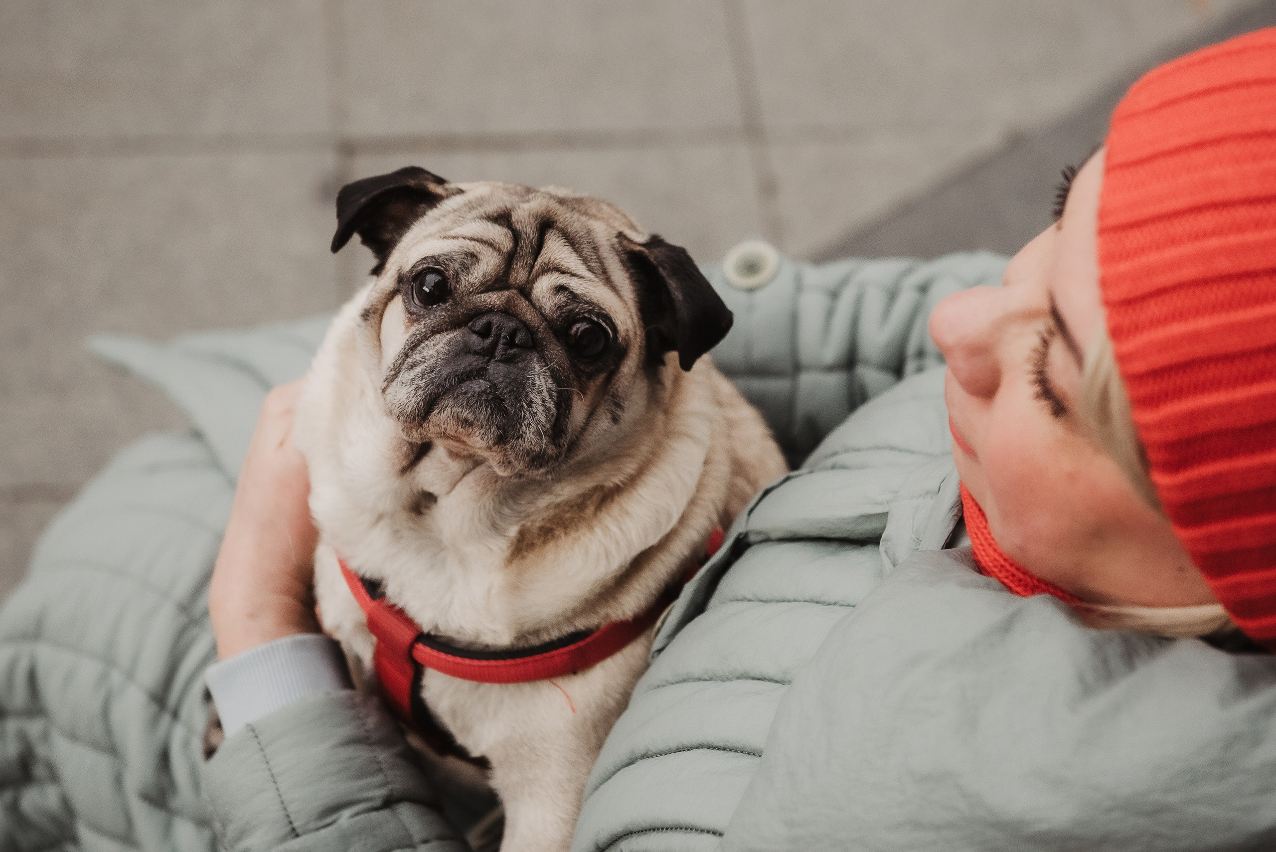 Ольга и Потапум. Прогулка к чайному дому. Семейный Фотограф в Москве Ирина Хохлова