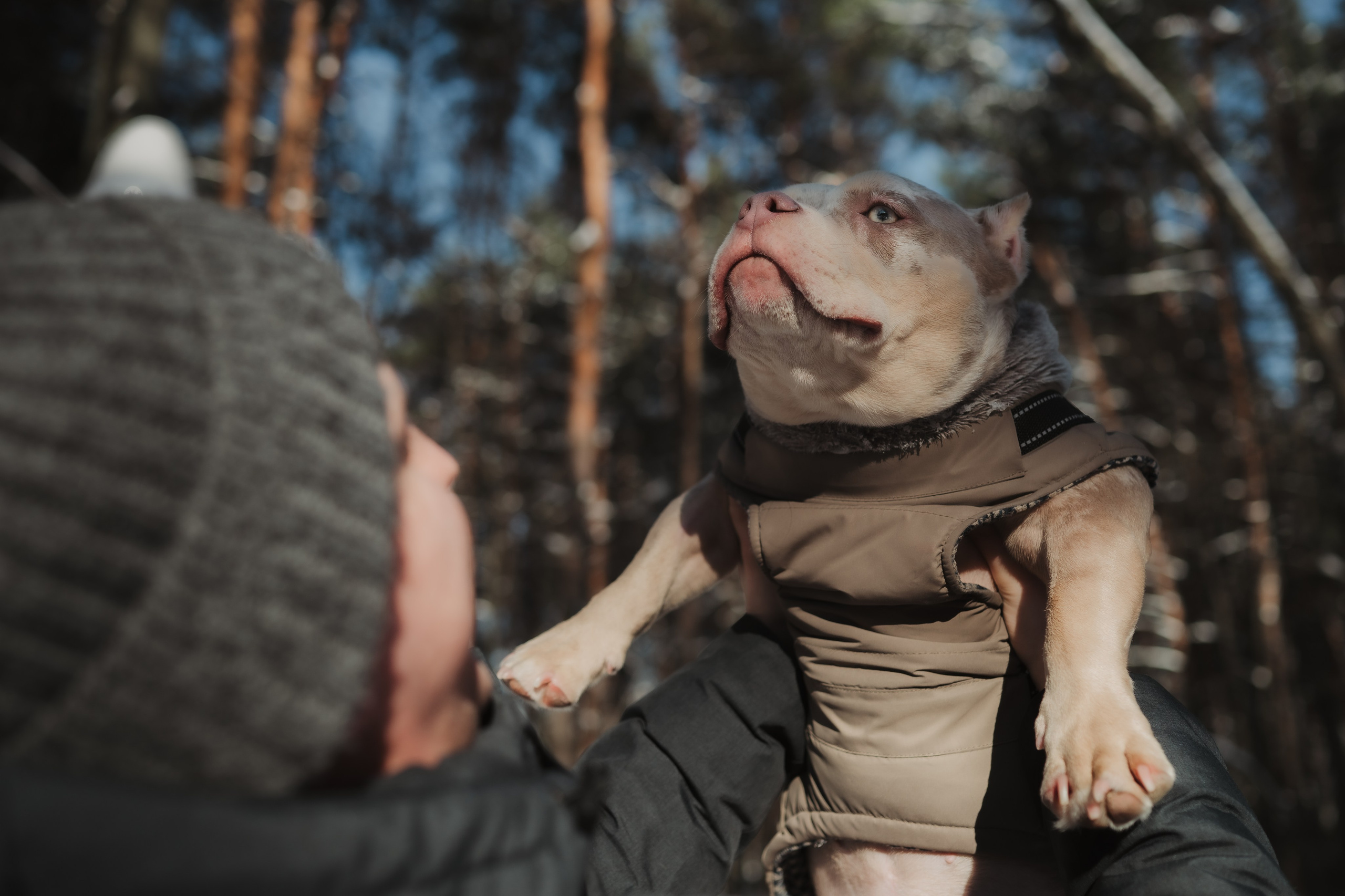 Зимняя LOVE STORY Вики, Артёма и Булочки. Семейный Фотограф в Москве Ирина Хохлова