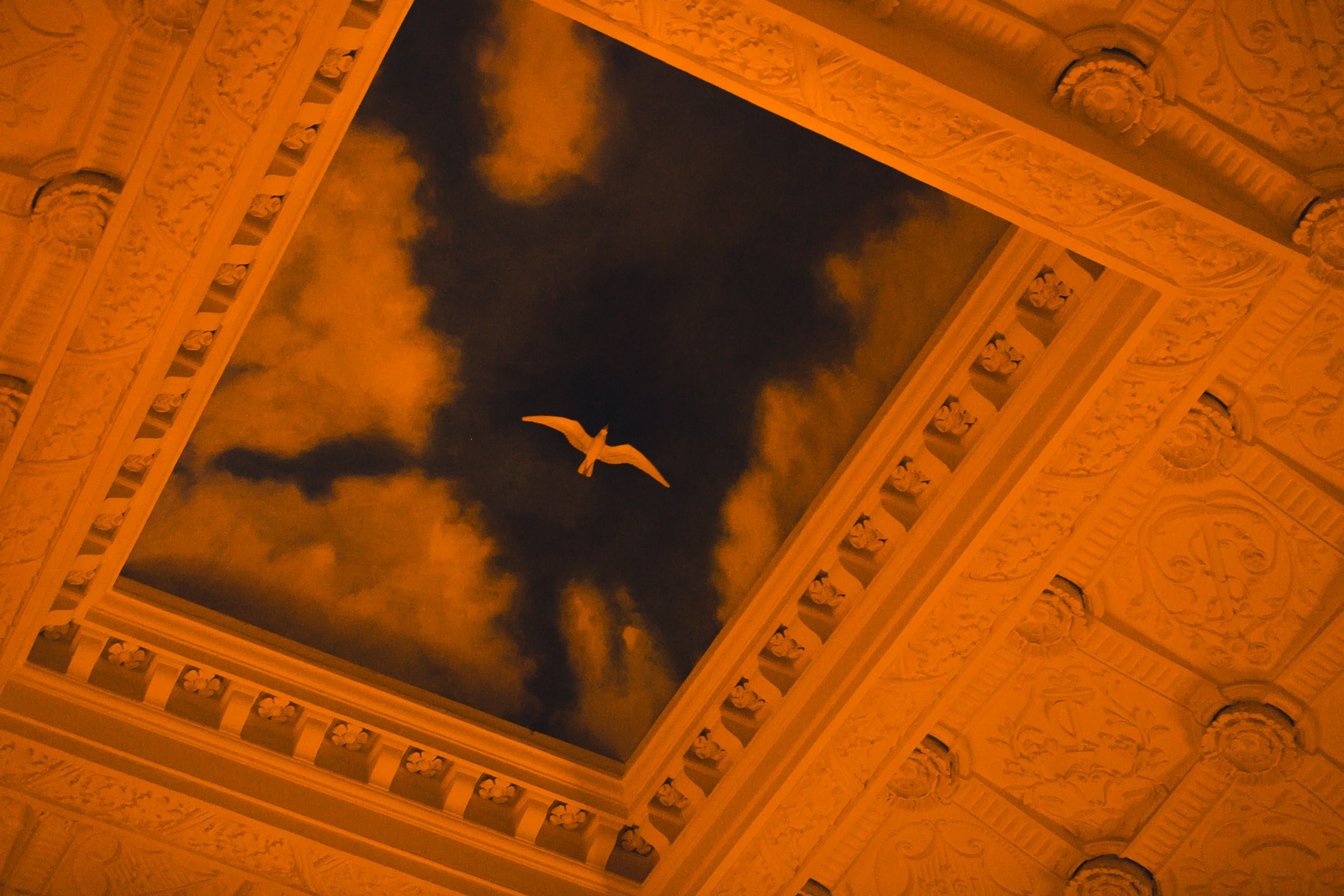 Репортажи. Репортажный фотограф Андрей Герасимов