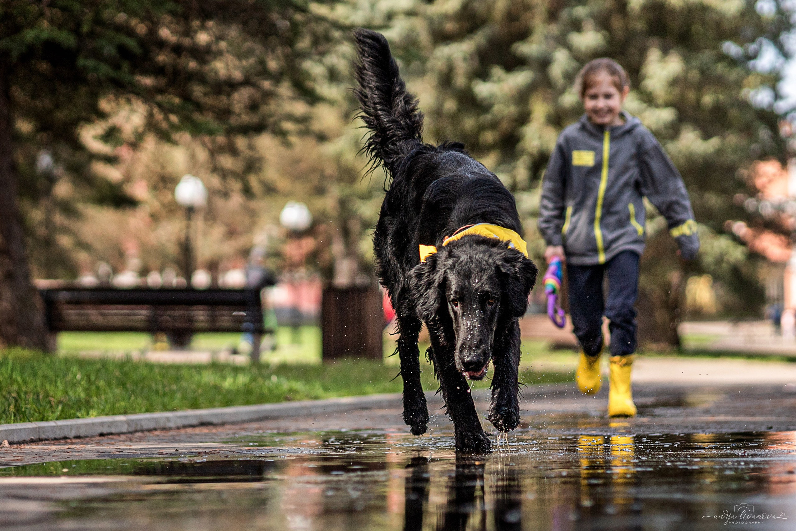 Солнышки. Фотограф анималист Аня Ливанова | Рыбинск