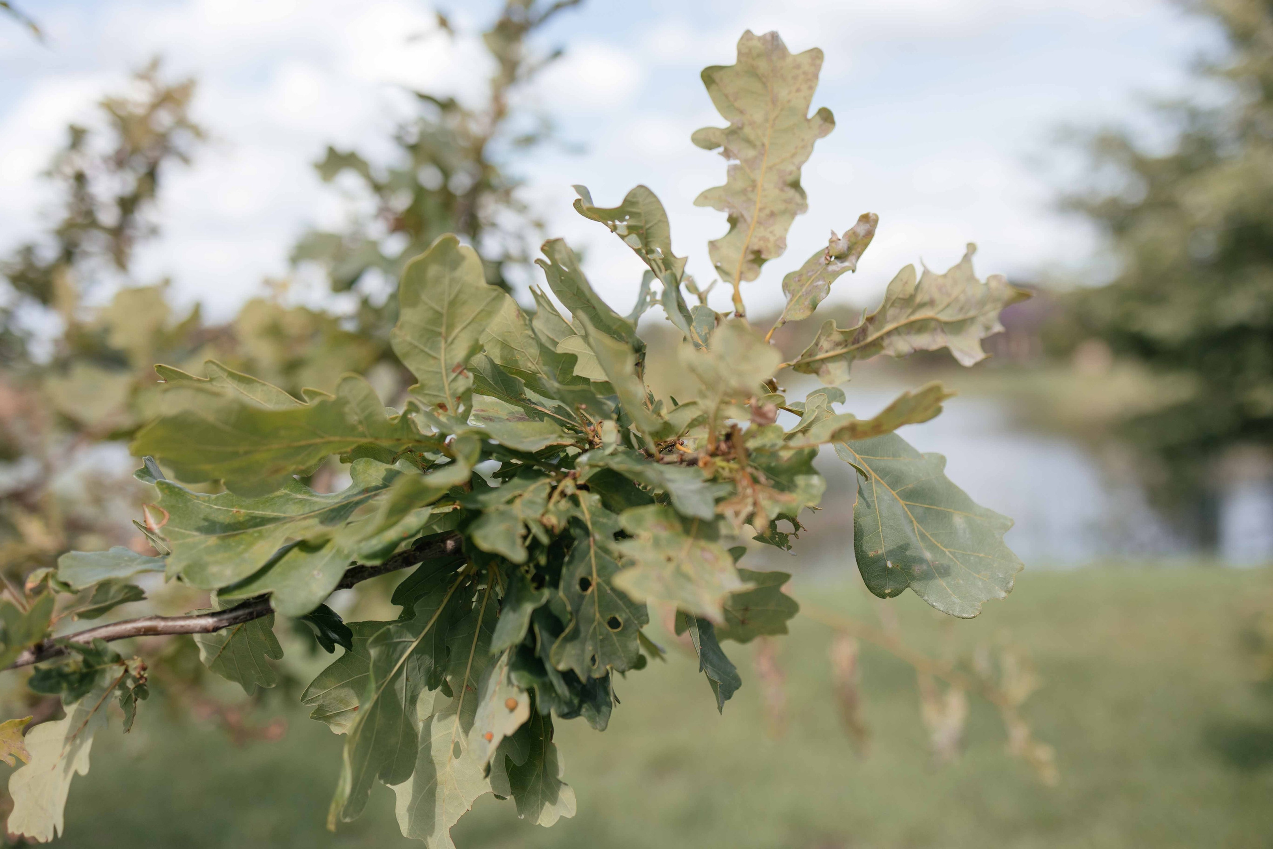 Женя и Вика. Фотограф Крохин Олег