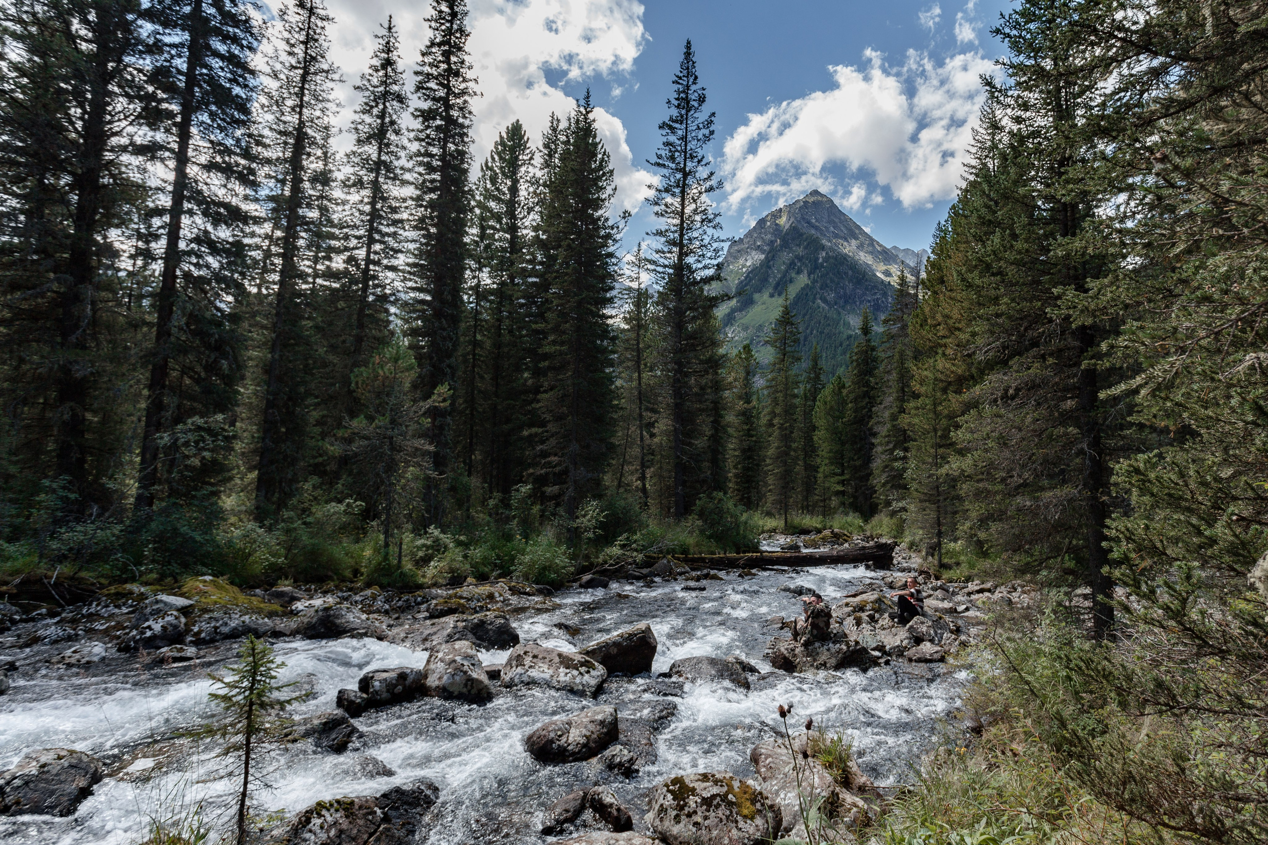 Катунский заповедник, Республика Алтай. Репортажный фотограф в Крыму Ксения Гасица