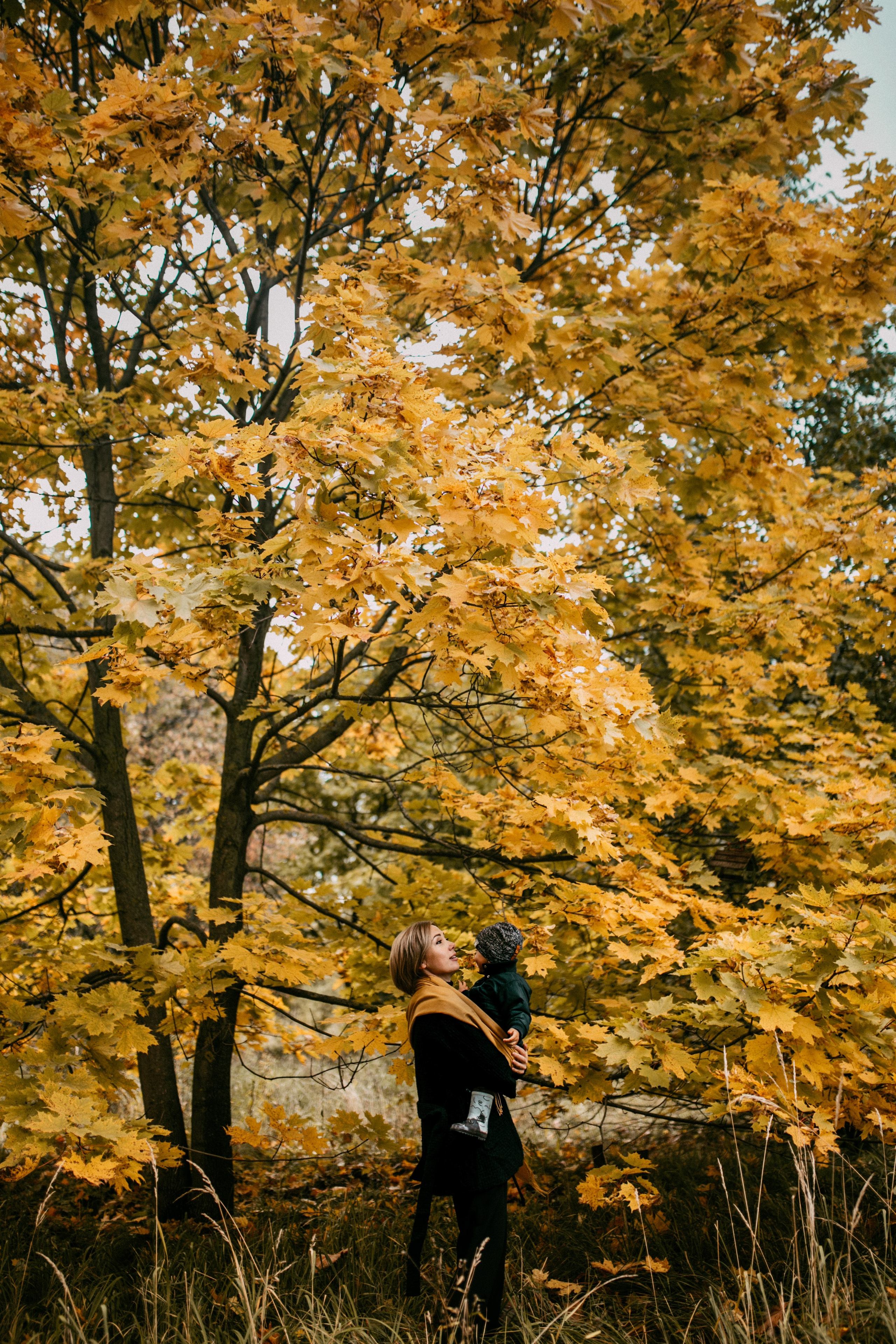 Осенняя семейная фотосъемка. Фотограф Лебедева Наталья