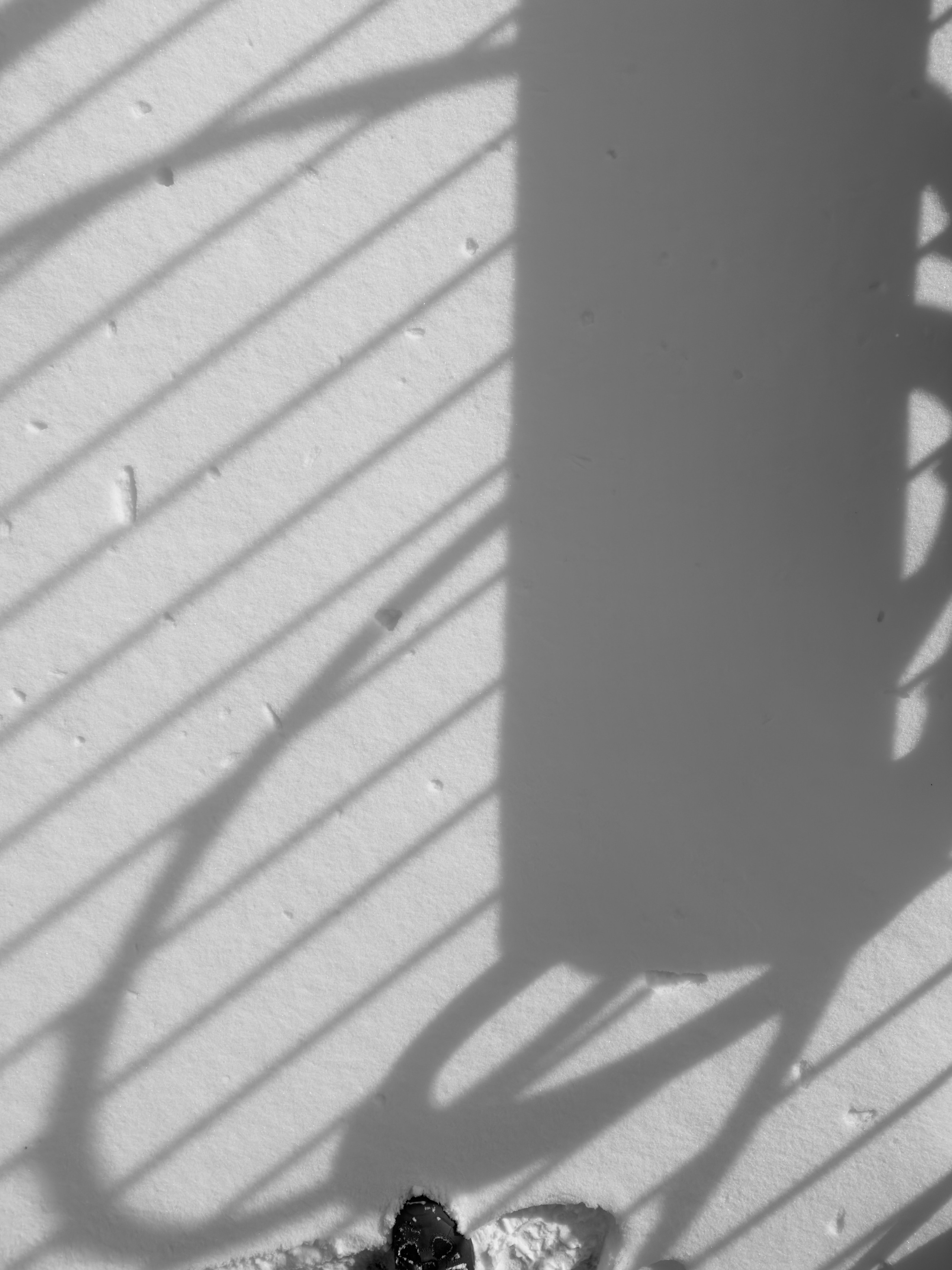 Визуальный дневник. Репортажный фотограф в Алматы Цой Сергей