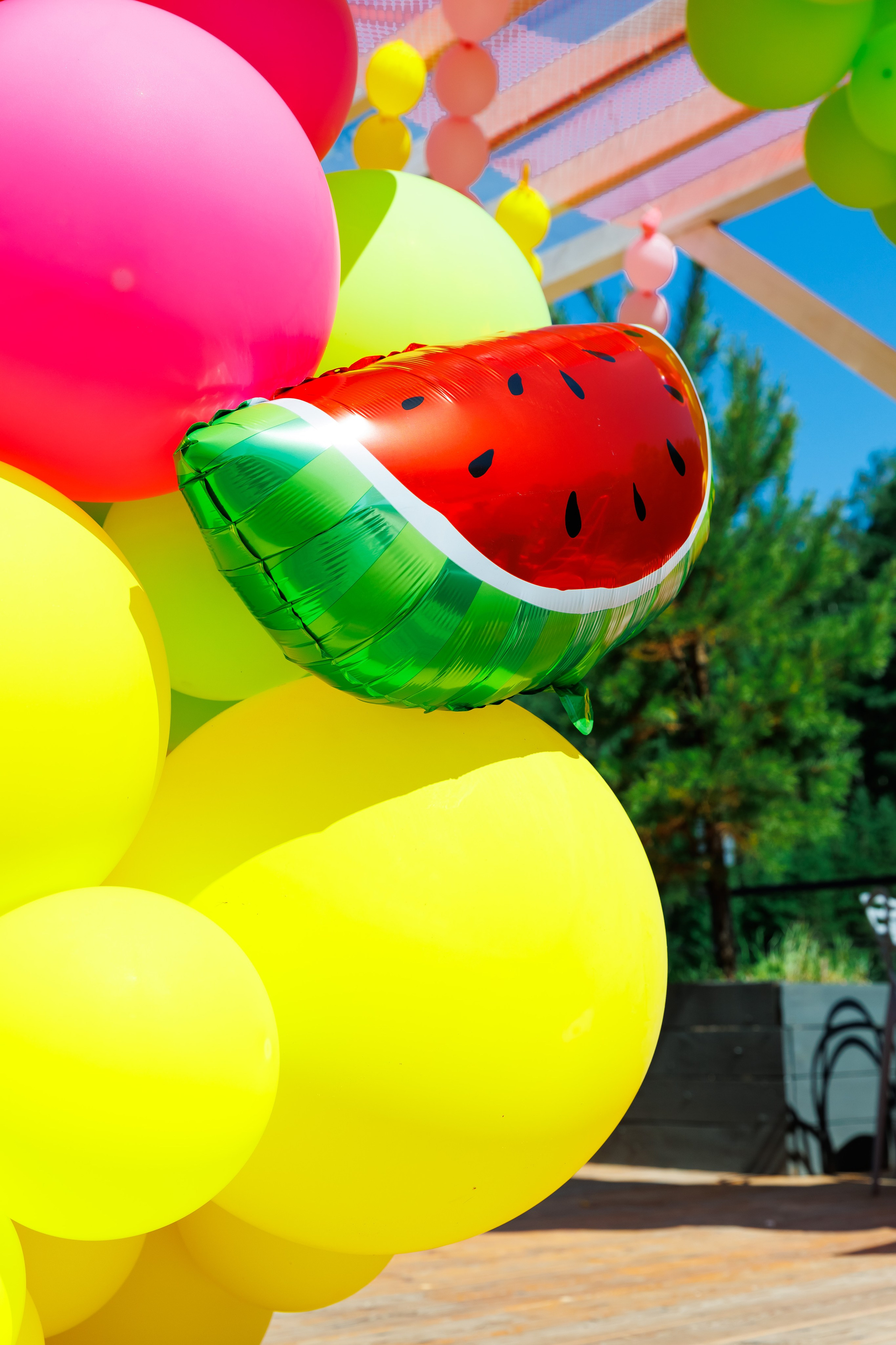 Летняя вечеринка декораторов ШИУ. Фотограф Новосибирск — Наталья Гресь