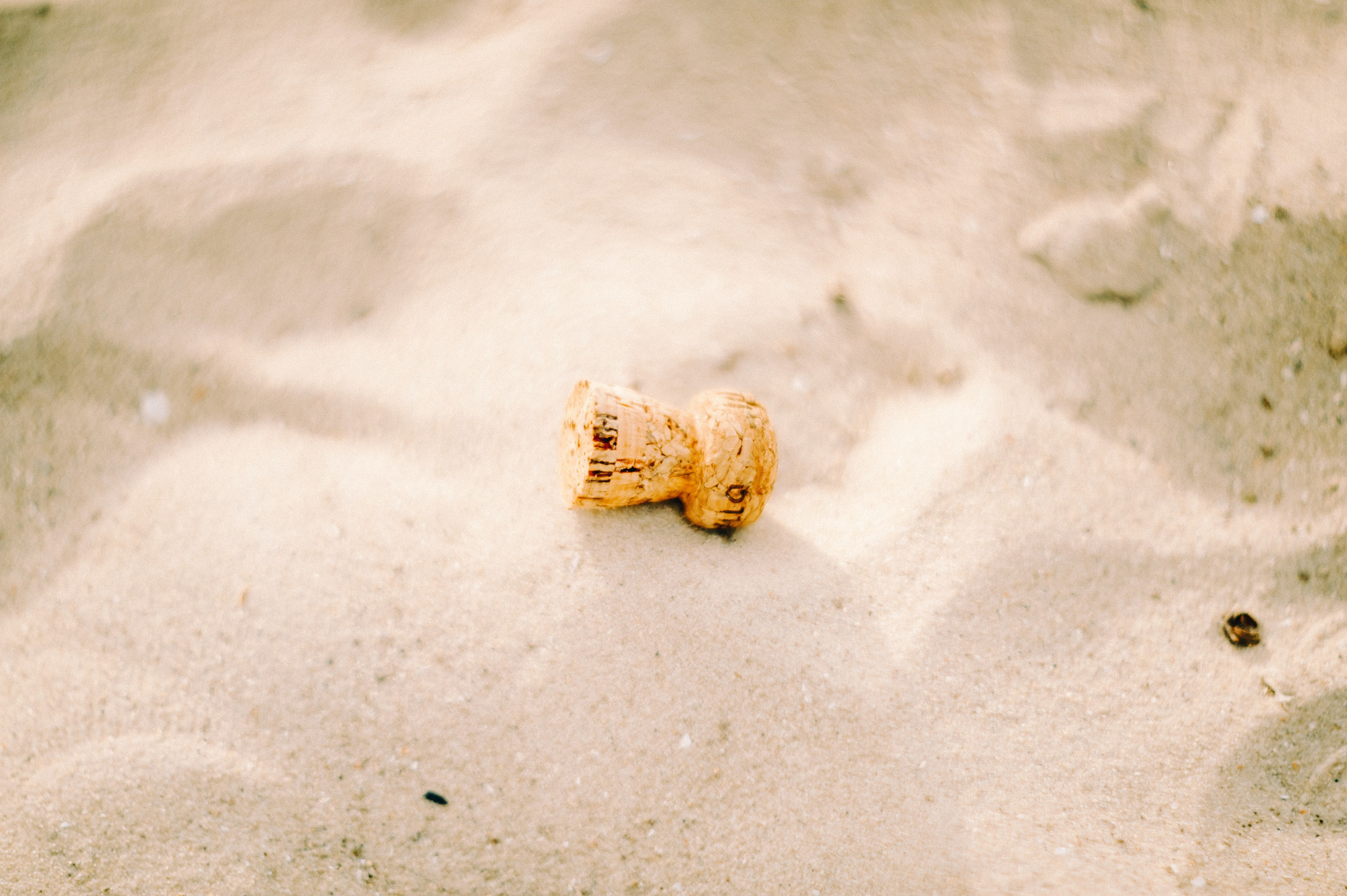 Олеся и Паша. Свадебный фотограф в Ростове-на-Дону Владимир Пешков